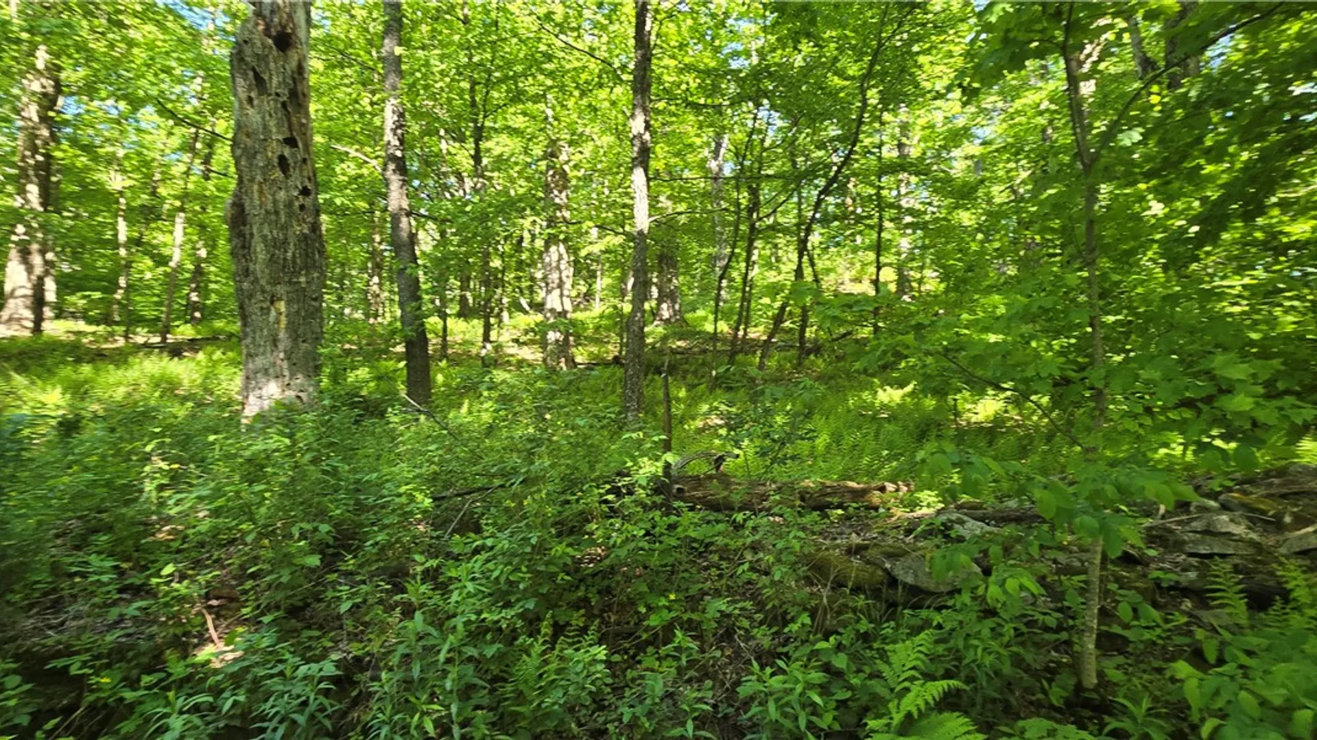 Property at STAR DR, Jefferson, NY 12167 18