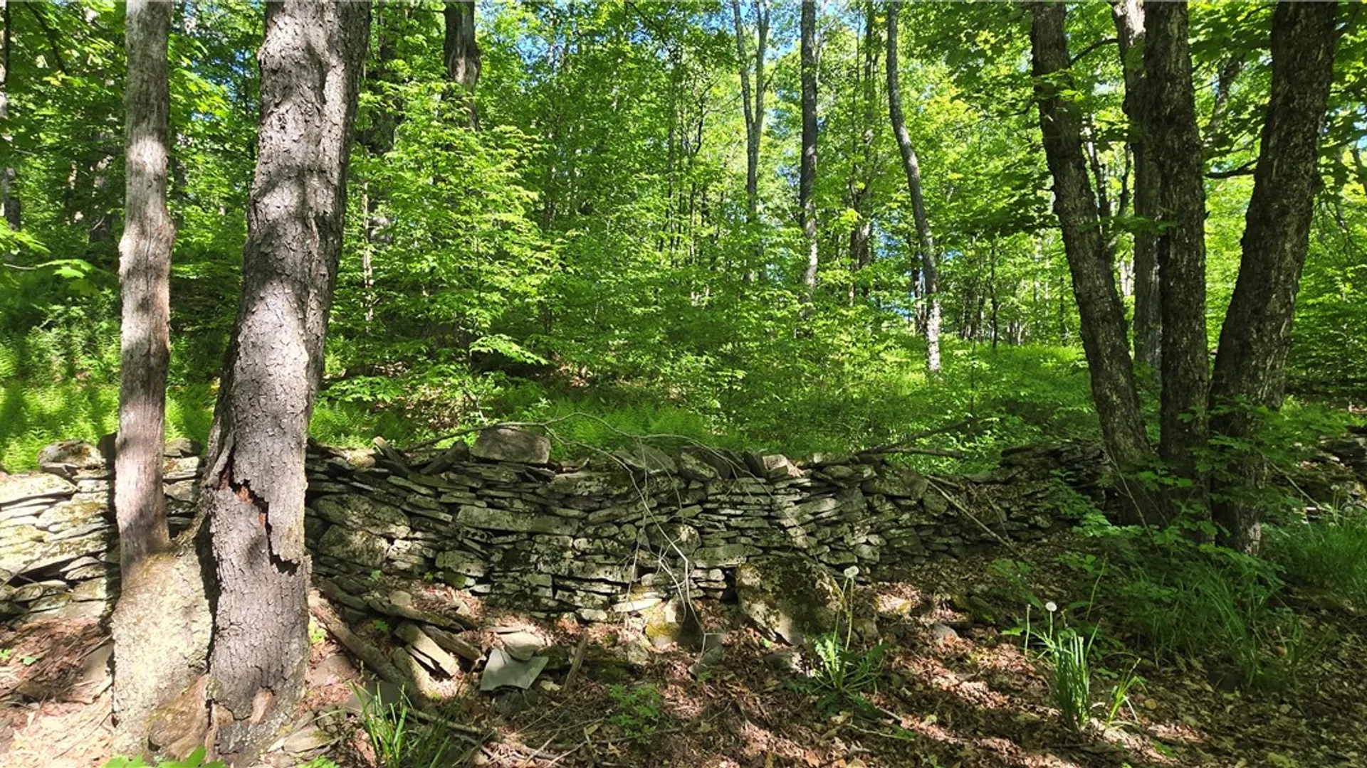 Property at STAR DR, Jefferson, NY 12167 19