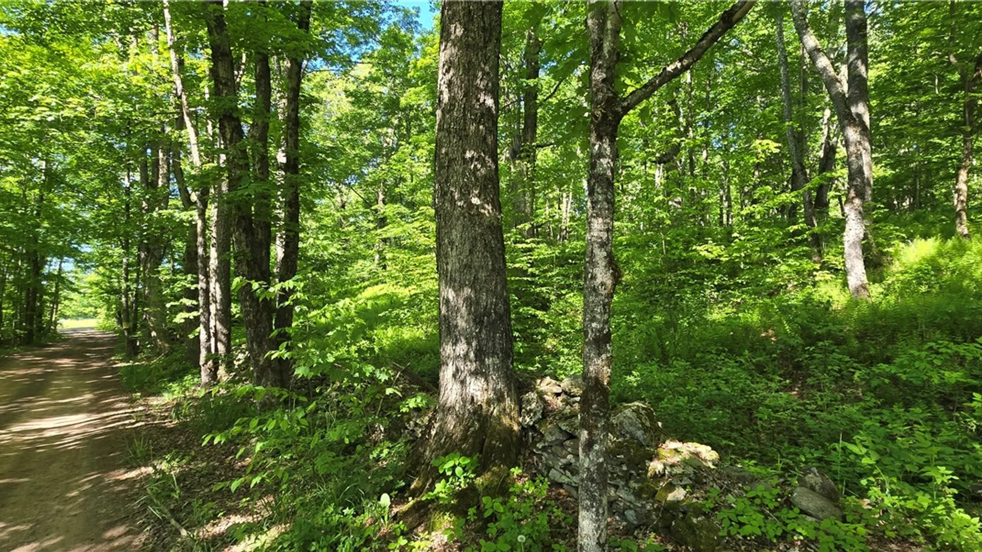Property at STAR DR, Jefferson, NY 12167 20