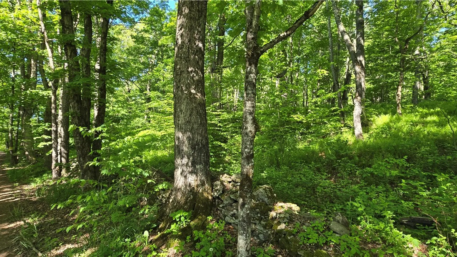 Property at STAR DR, Jefferson, NY 12167 21