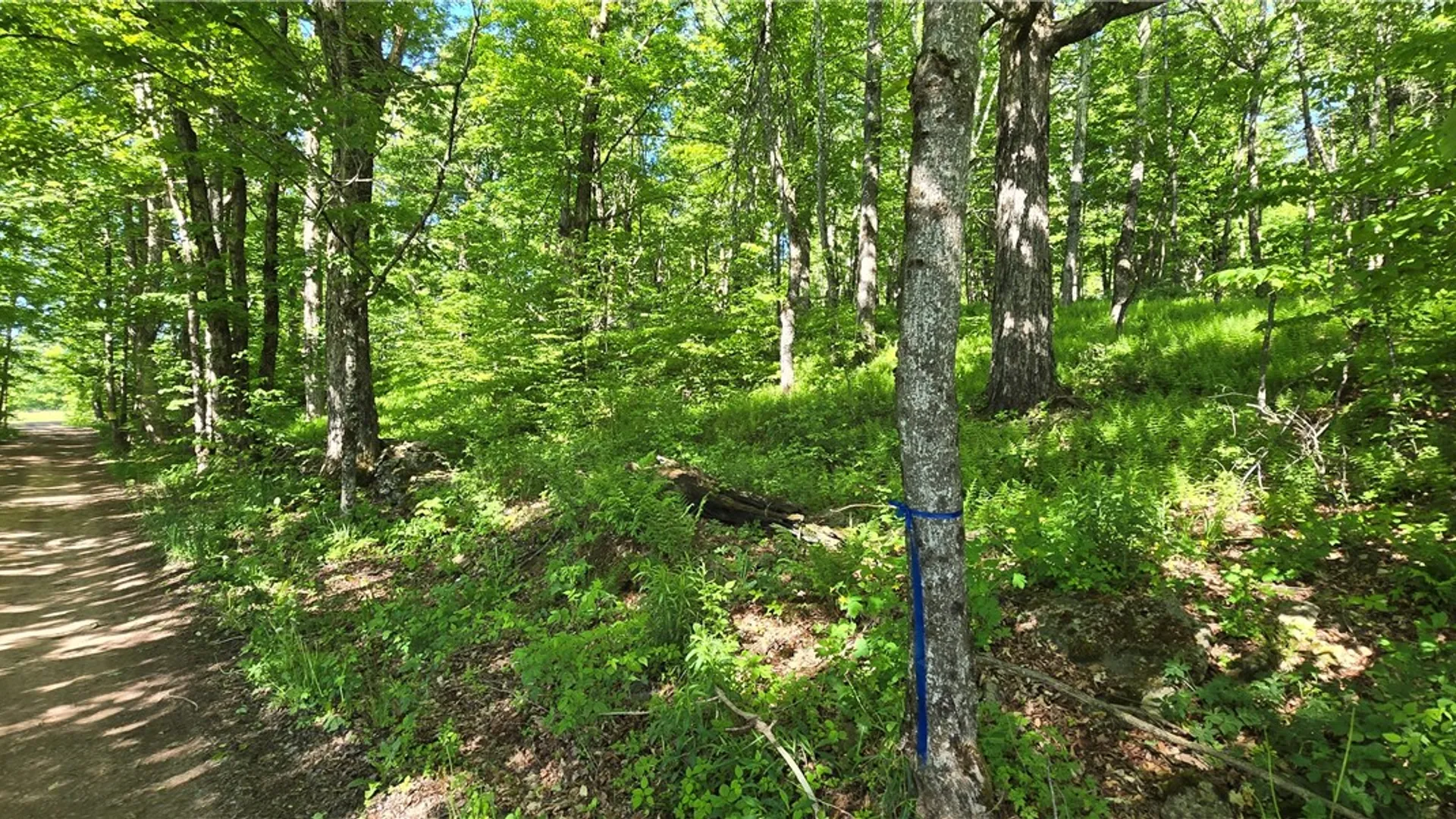 Property at STAR DR, Jefferson, NY 12167 22