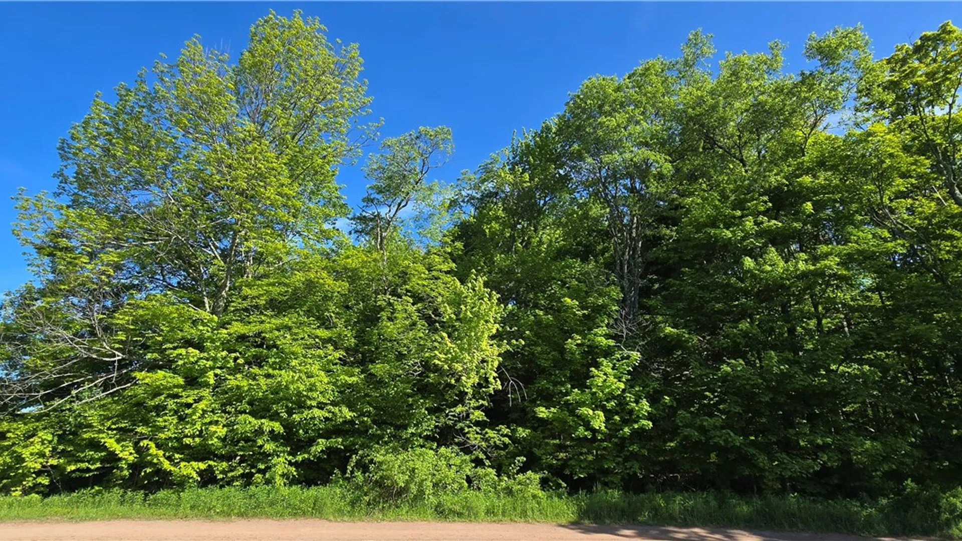 Property at STAR DR, Jefferson, NY 12167 4
