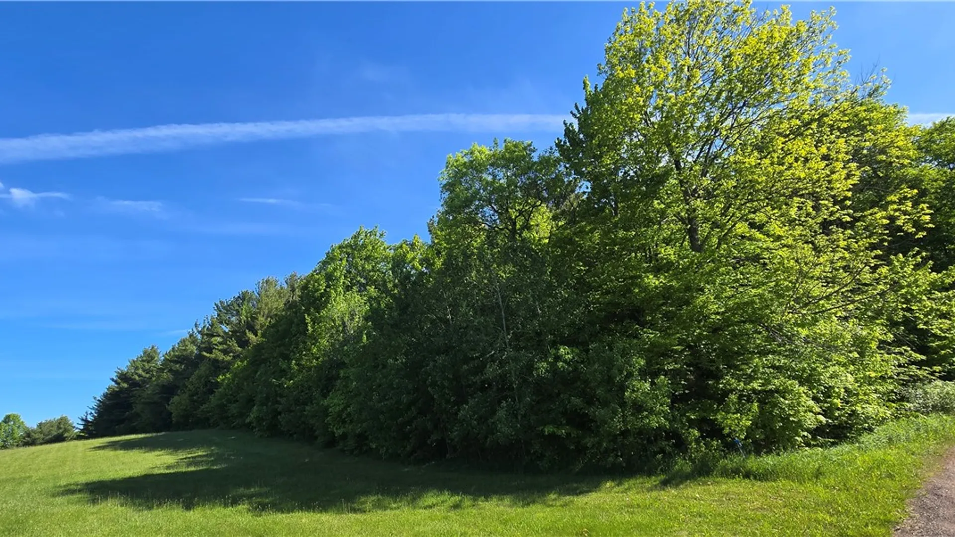 Property at STAR DR, Jefferson, NY 12167 6