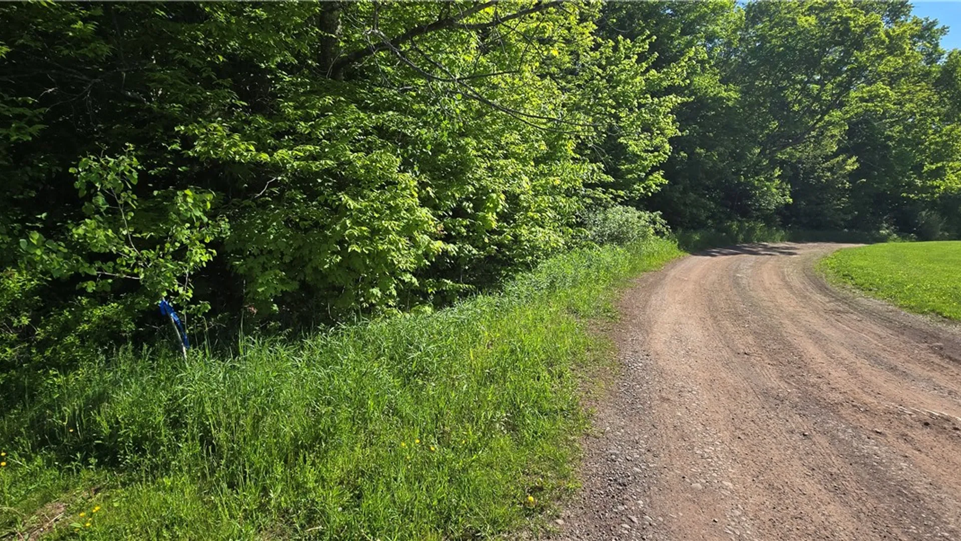 Property at STAR DR, Jefferson, NY 12167 7