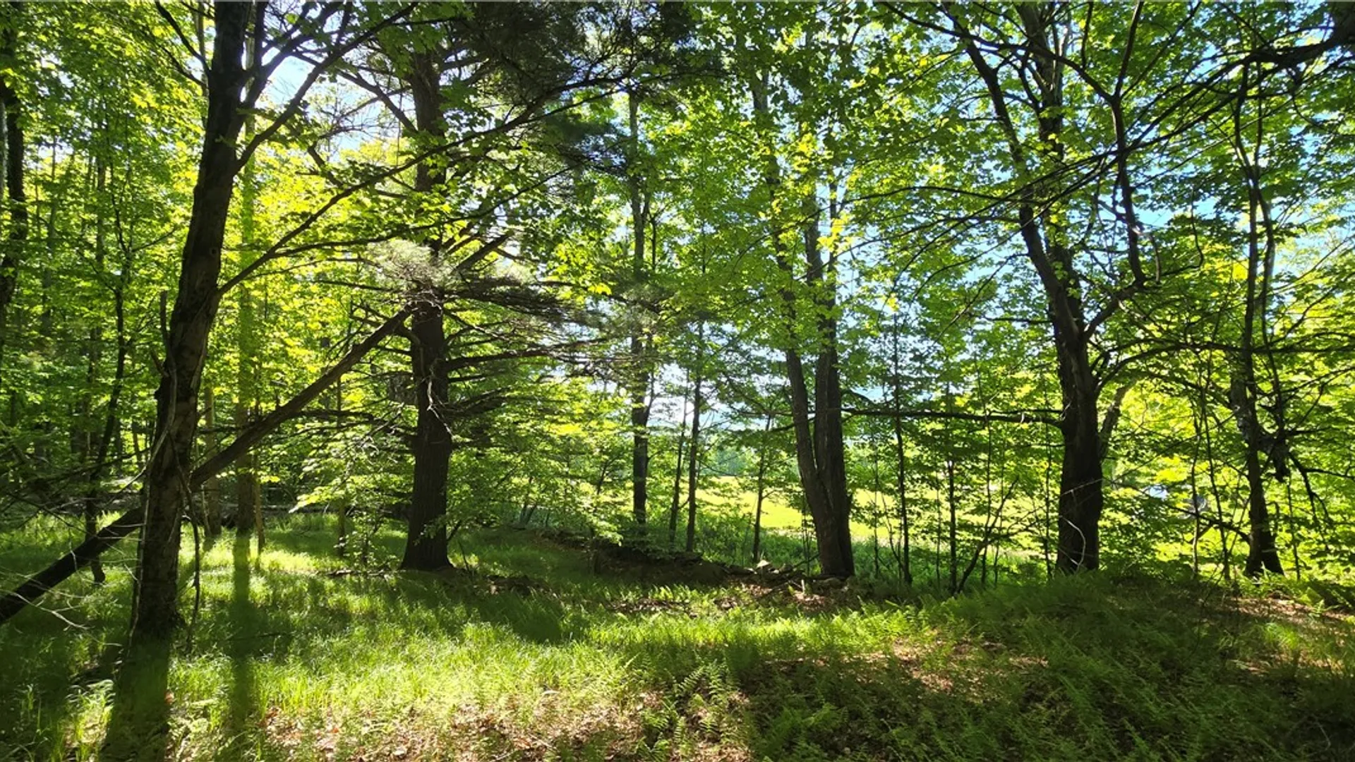 Property at STAR DR, Jefferson, NY 12167 9