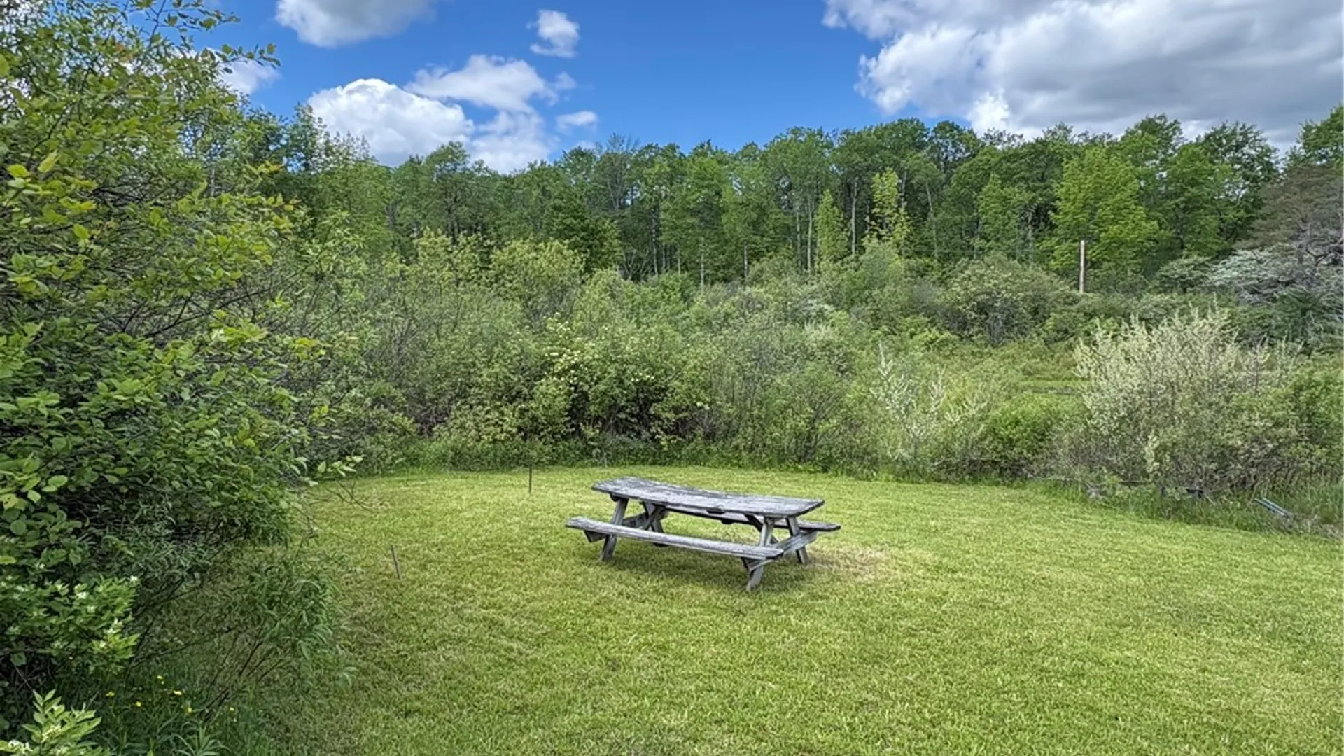 Property at Lake Lorraine Lane, Preston, NY 13815 15