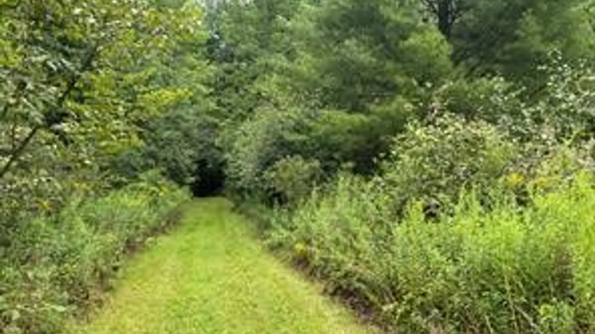 Property at 10053 Browntown Road, Lindley, NY 14858 10