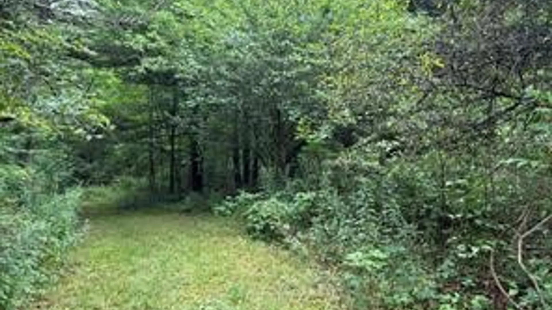 Property at 10053 Browntown Road, Lindley, NY 14858 12