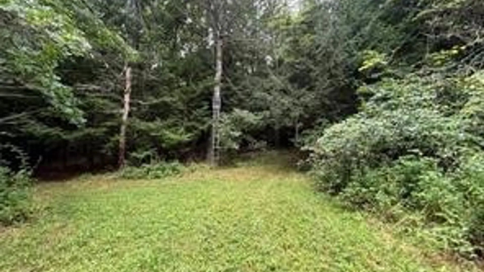 Property at 10053 Browntown Road, Lindley, NY 14858 8