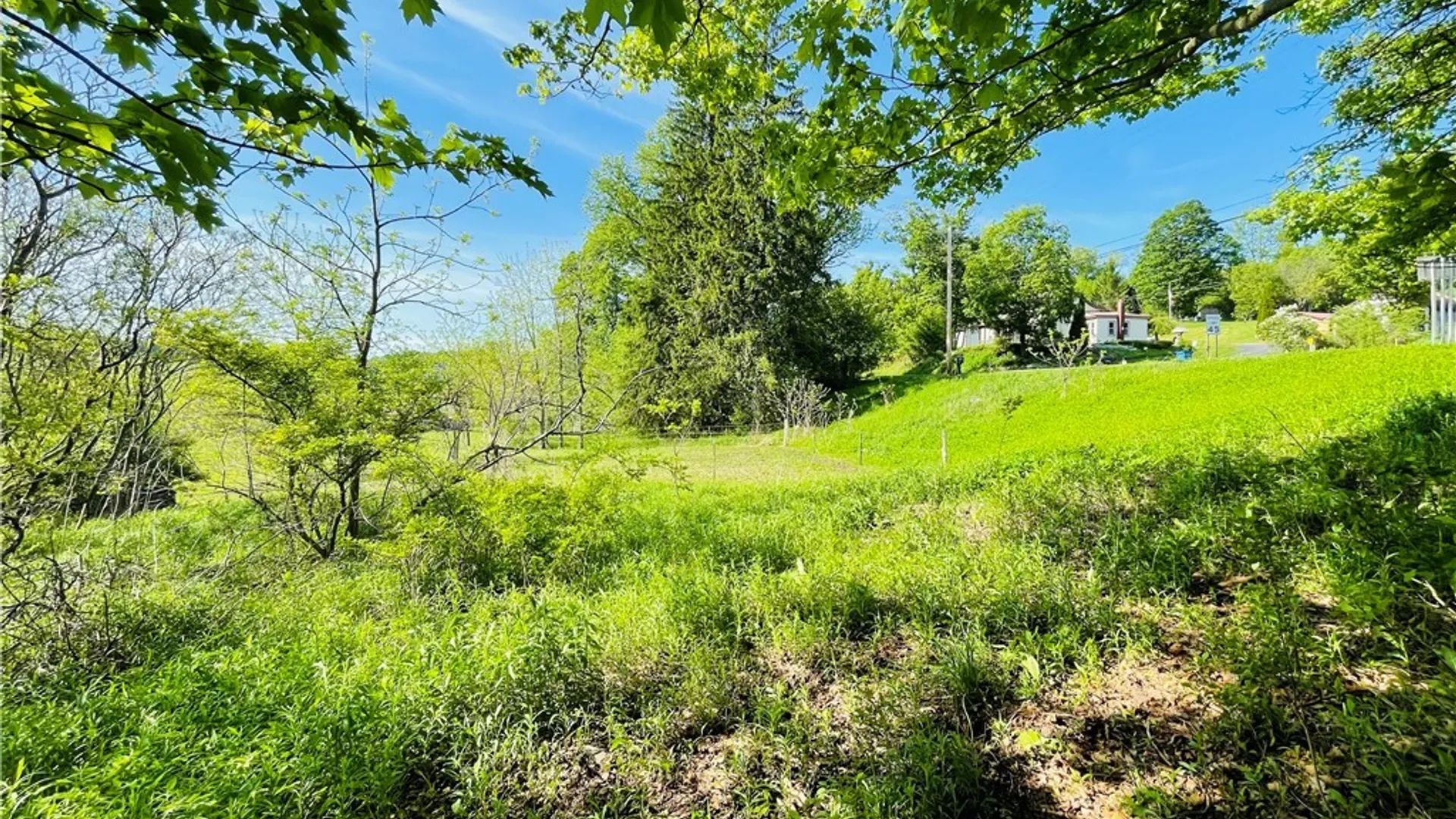 Property at Route 41, Scott, NY 13077 43