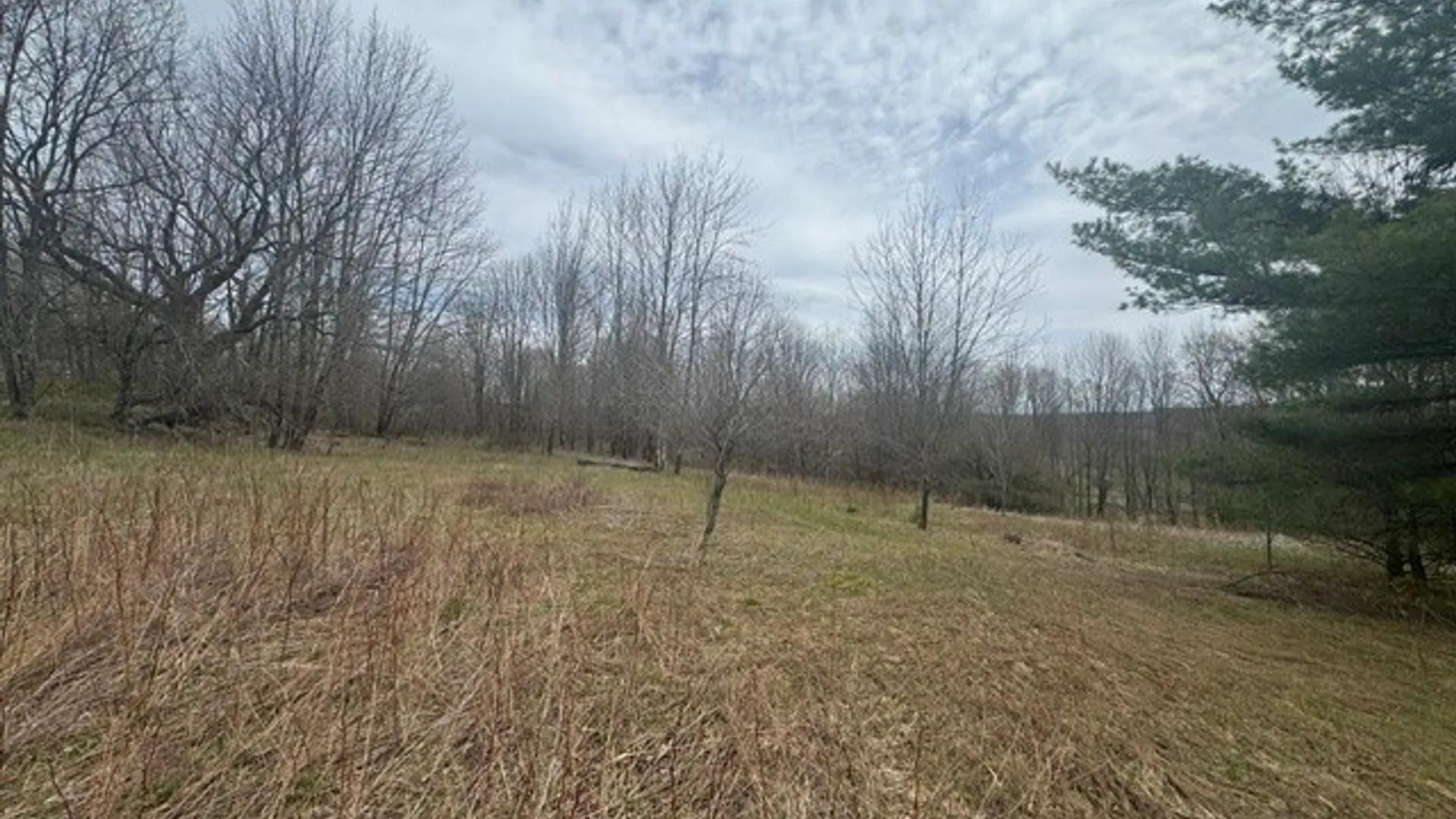 Property at Lot 4 Shaver Hill Road, Meredith, NY 13806 10