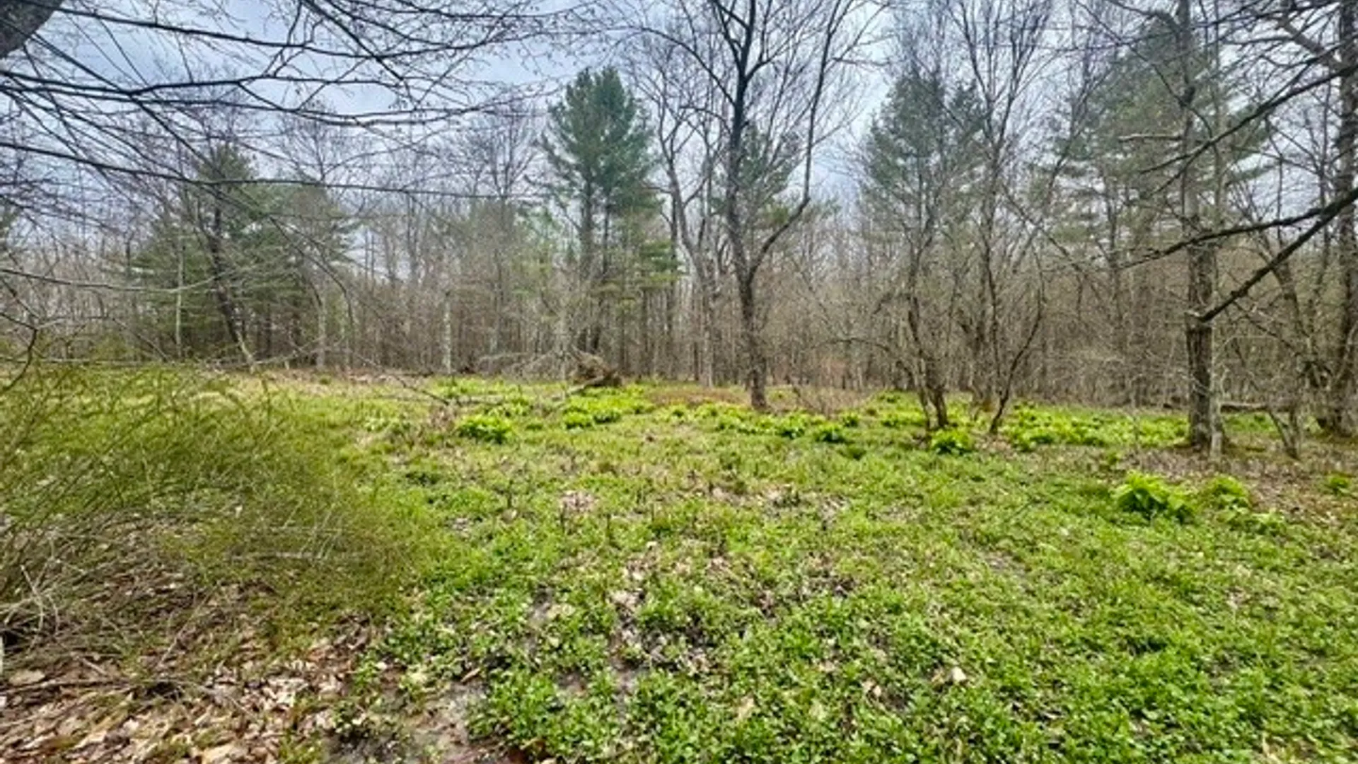 Property at Lot 4 Shaver Hill Road, Meredith, NY 13806 11