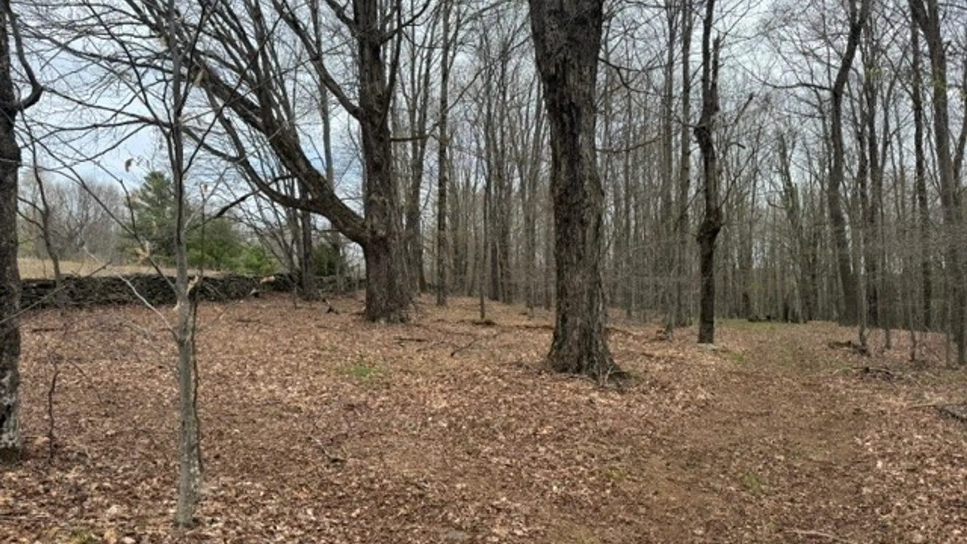 Property at Lot 4 Shaver Hill Road, Meredith, NY 13806 15
