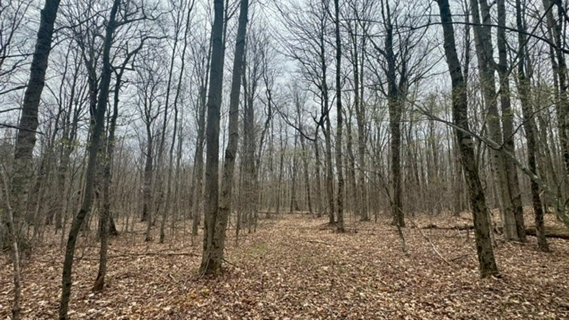 Property at Lot 4 Shaver Hill Road, Meredith, NY 13806 18