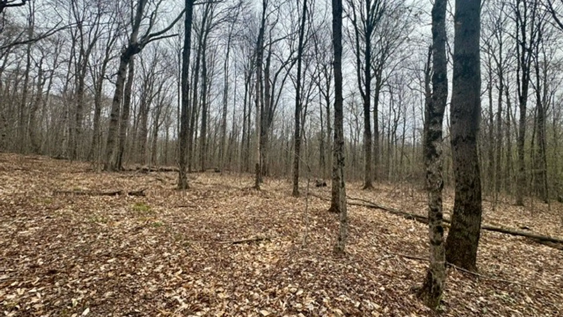 Property at Lot 4 Shaver Hill Road, Meredith, NY 13806 20