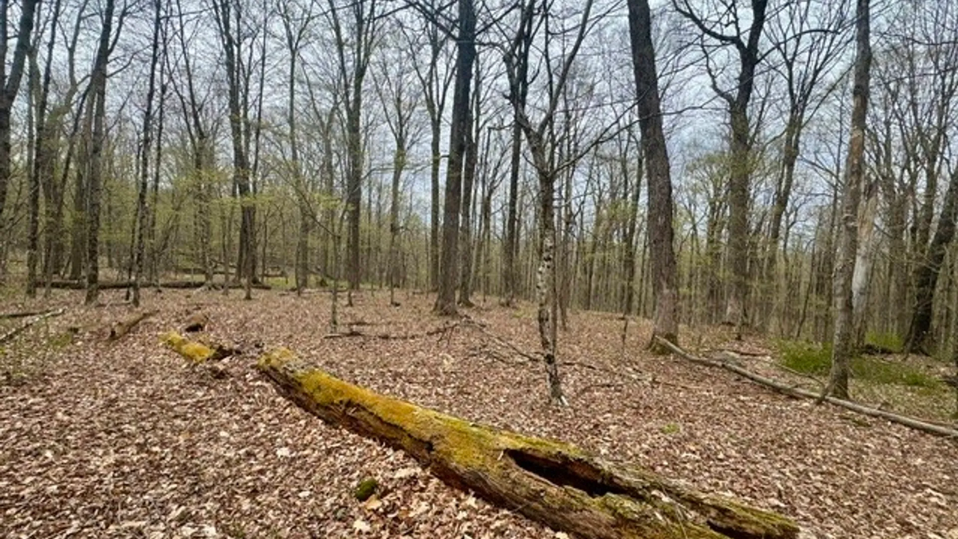 Property at Lot 4 Shaver Hill Road, Meredith, NY 13806 21