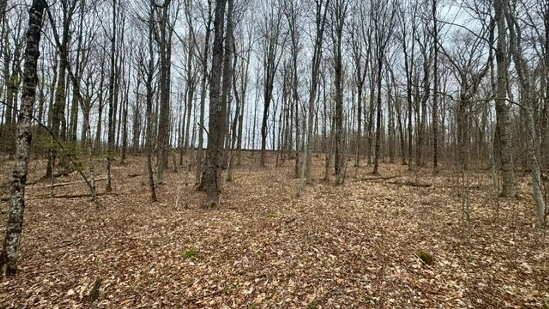 Property at Lot 4 Shaver Hill Road, Meredith, NY 13806 22