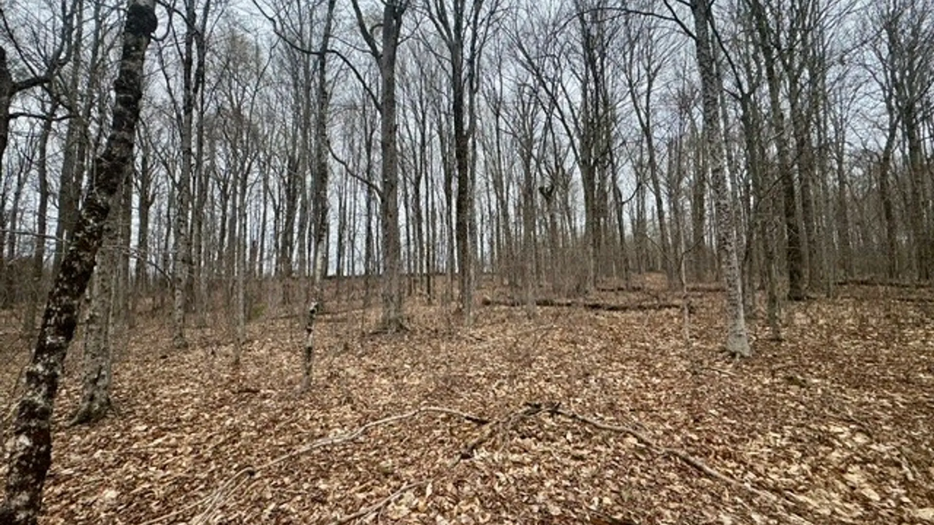 Property at Lot 4 Shaver Hill Road, Meredith, NY 13806 23