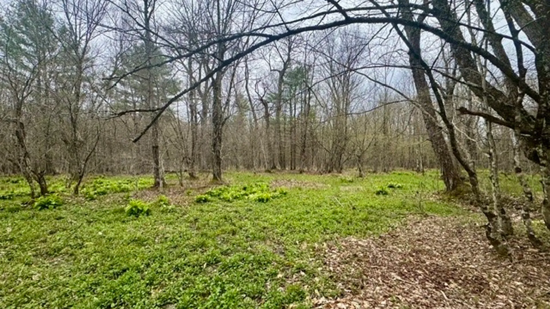 Property at Lot 4 Shaver Hill Road, Meredith, NY 13806 25