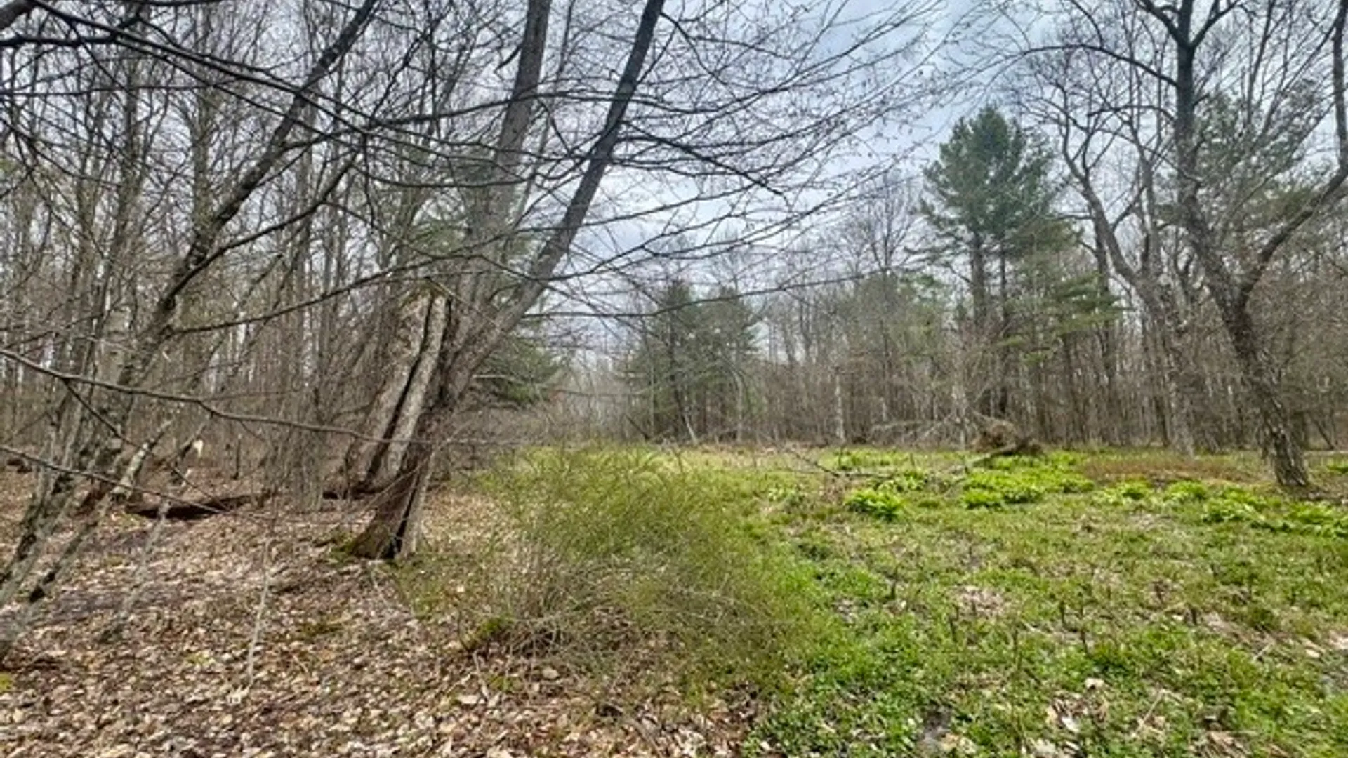 Property at Lot 4 Shaver Hill Road, Meredith, NY 13806 26