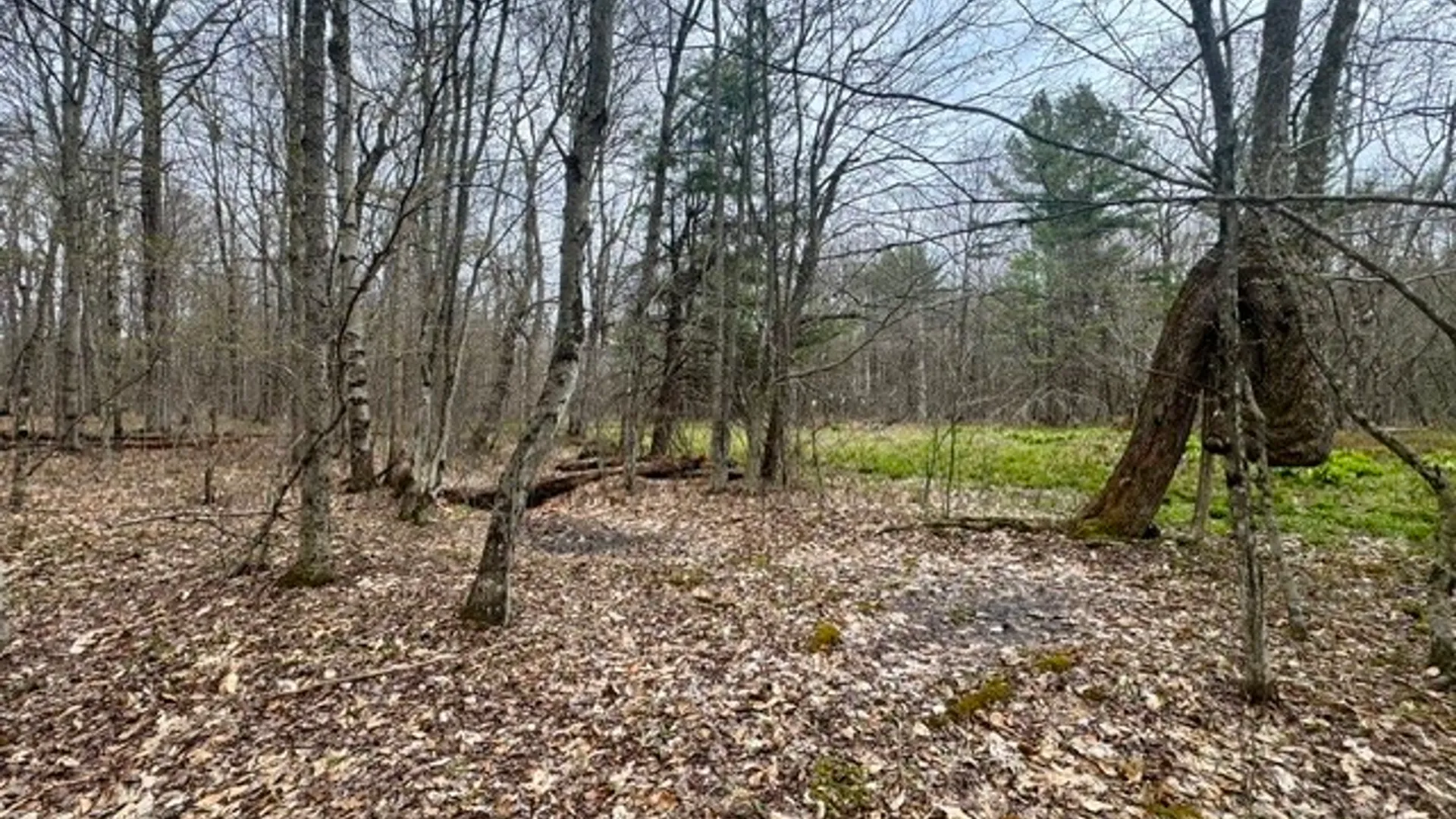 Property at Lot 4 Shaver Hill Road, Meredith, NY 13806 28