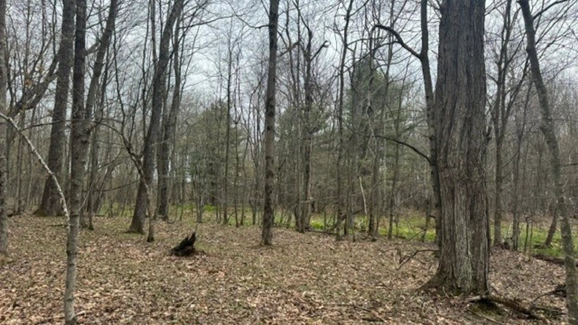 Property at Lot 4 Shaver Hill Road, Meredith, NY 13806 29