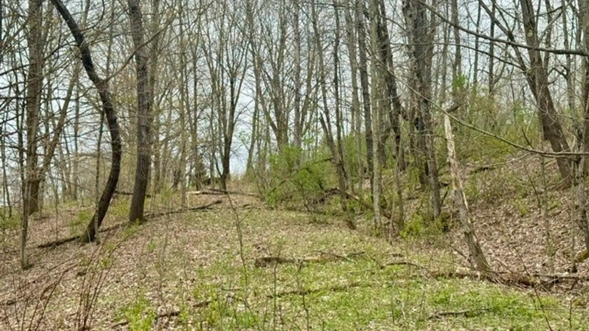 Property at Lot 4 Shaver Hill Road, Meredith, NY 13806 3