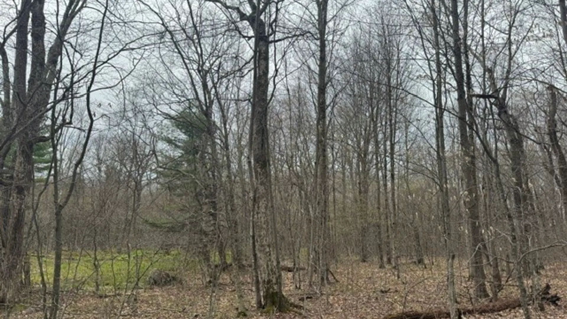 Property at Lot 4 Shaver Hill Road, Meredith, NY 13806 30