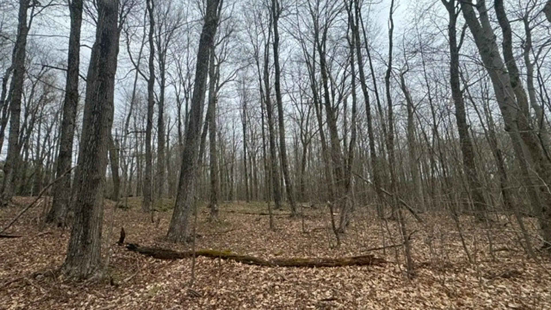 Property at Lot 4 Shaver Hill Road, Meredith, NY 13806 33