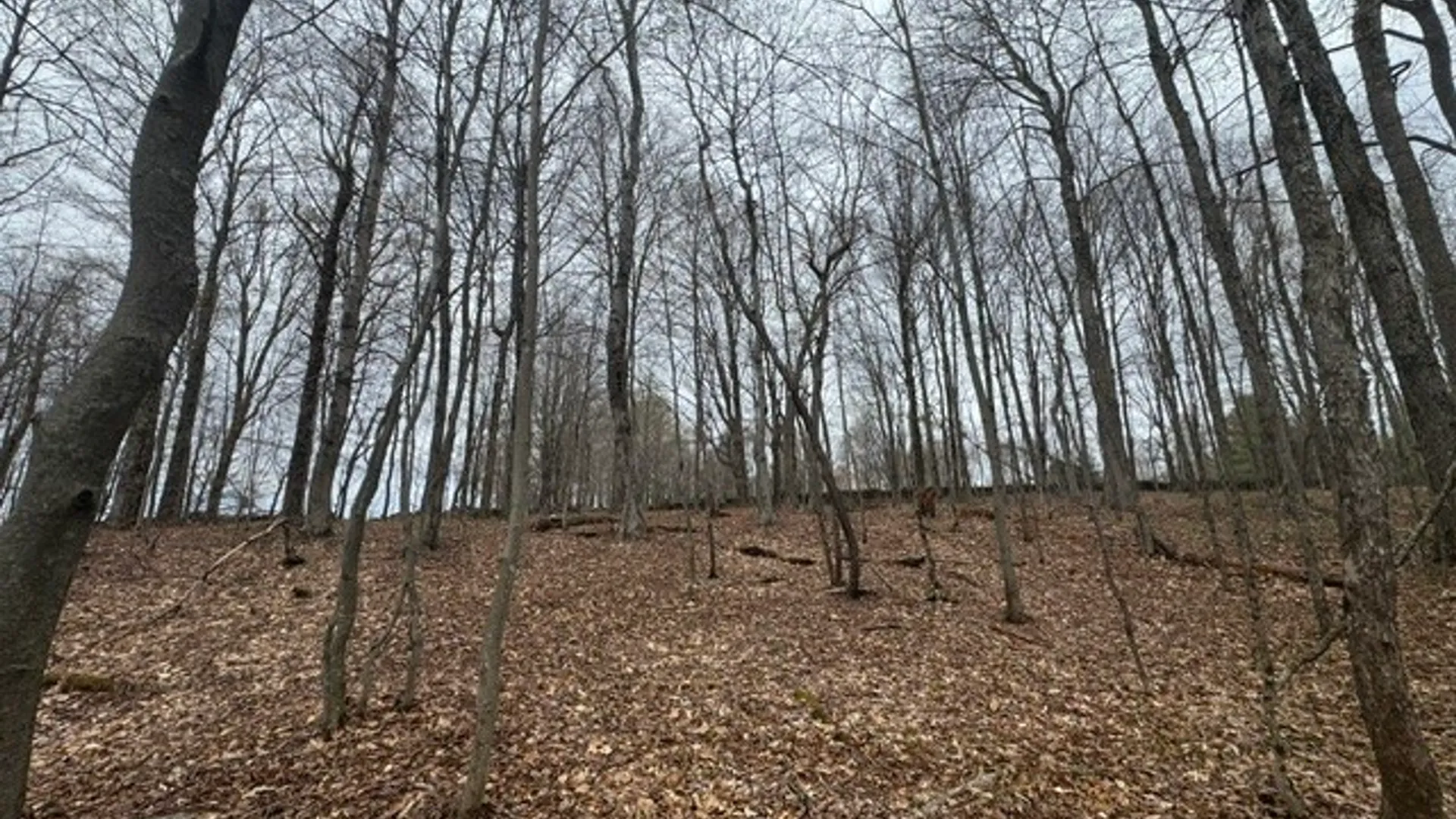 Property at Lot 4 Shaver Hill Road, Meredith, NY 13806 34