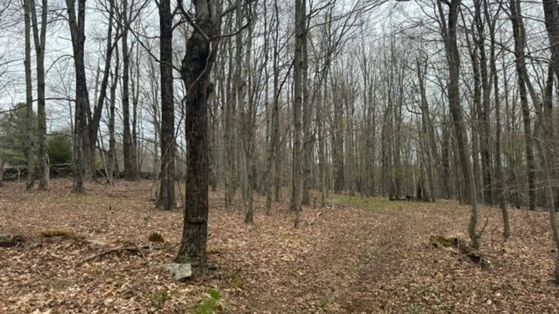 Property at Lot 4 Shaver Hill Road, Meredith, NY 13806 35