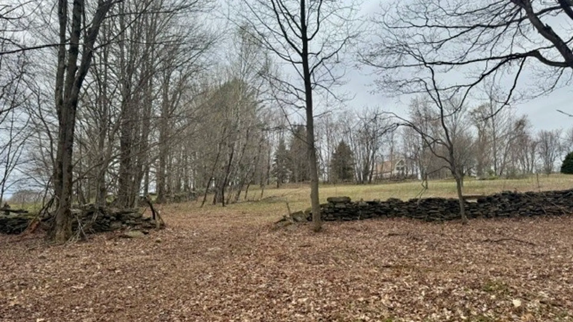 Property at Lot 4 Shaver Hill Road, Meredith, NY 13806 36