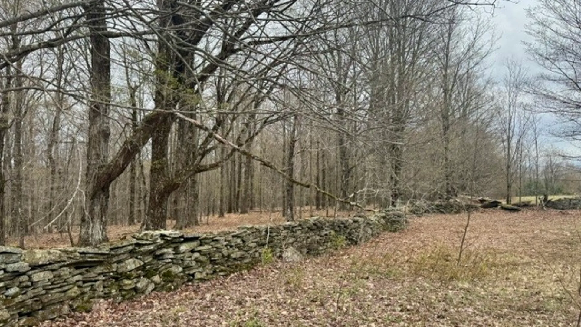 Property at Lot 4 Shaver Hill Road, Meredith, NY 13806 37