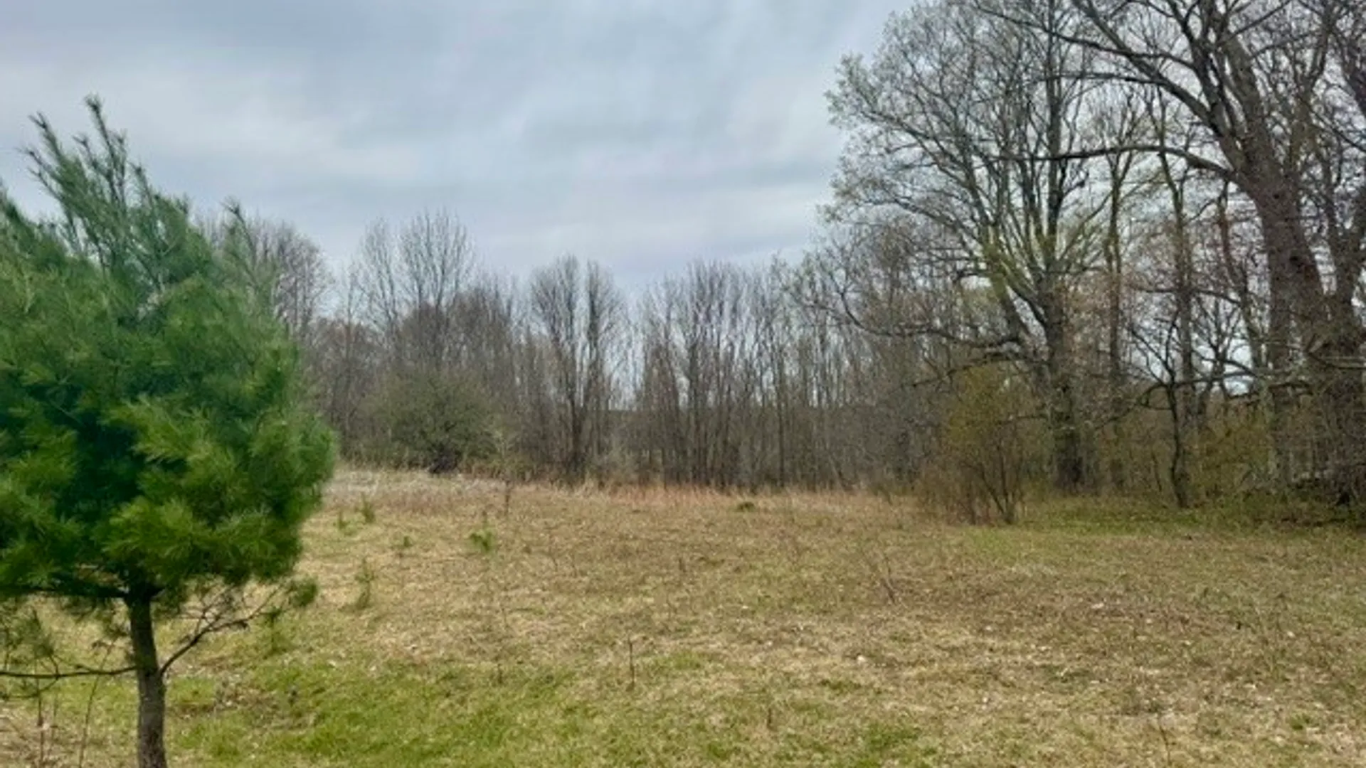 Property at Lot 4 Shaver Hill Road, Meredith, NY 13806 38