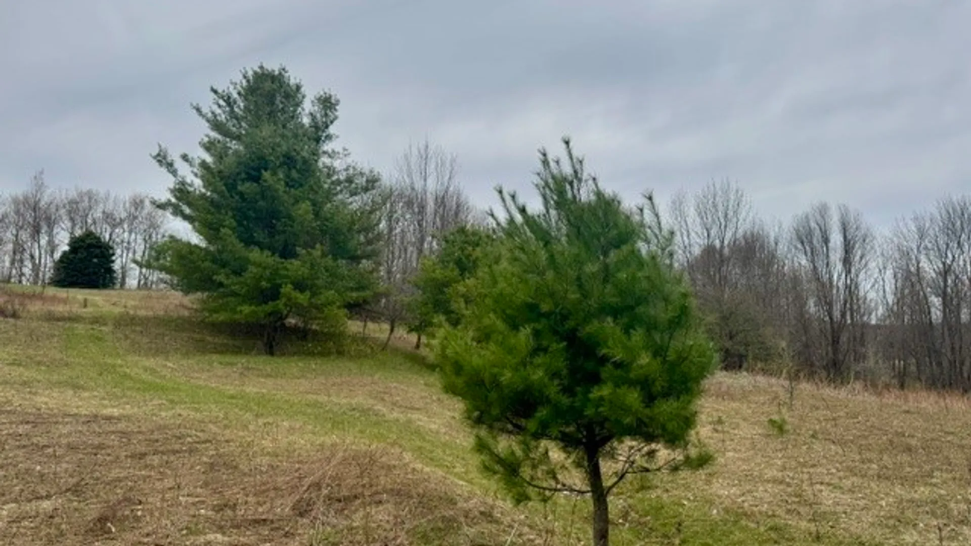 Property at Lot 4 Shaver Hill Road, Meredith, NY 13806 39
