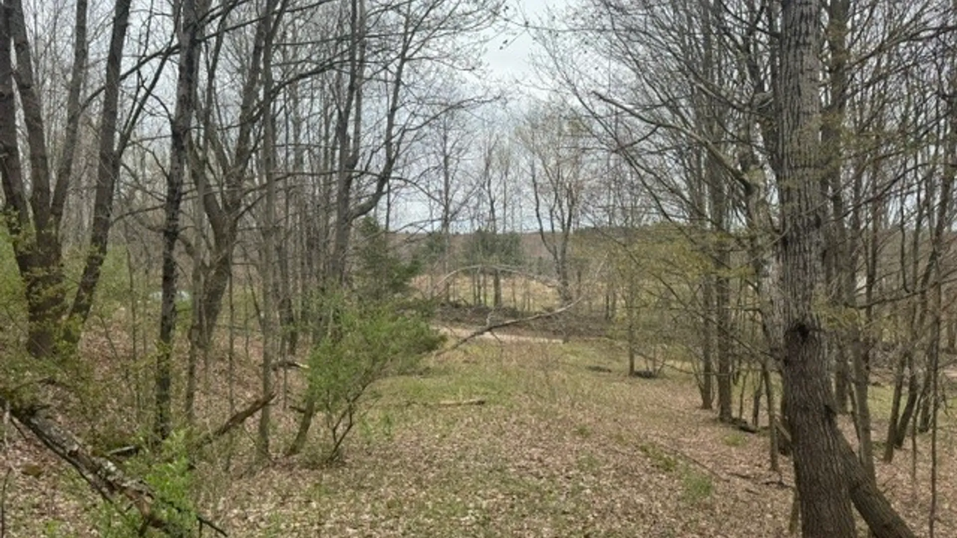 Property at Lot 4 Shaver Hill Road, Meredith, NY 13806 4