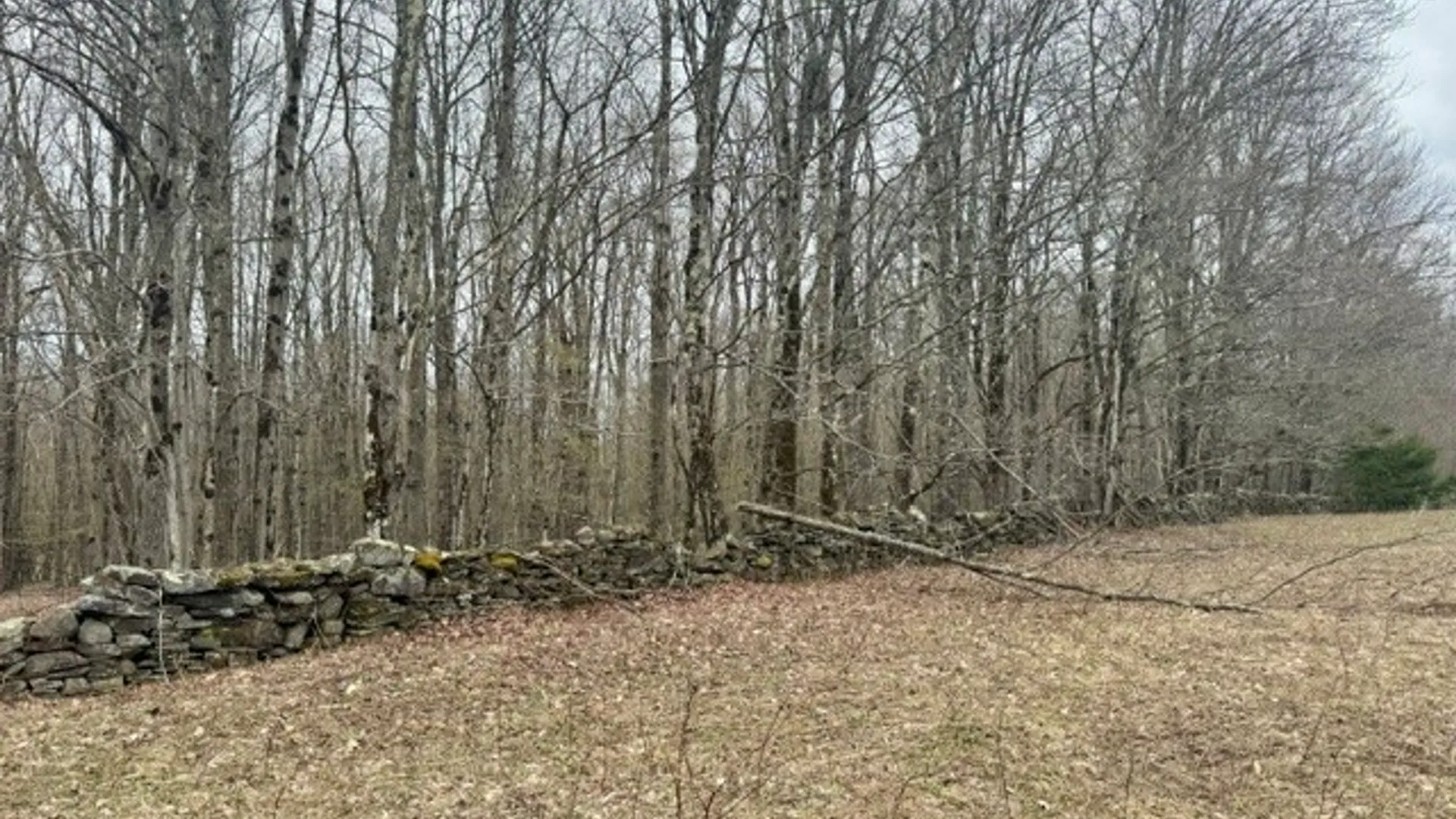 Property at Lot 4 Shaver Hill Road, Meredith, NY 13806 40