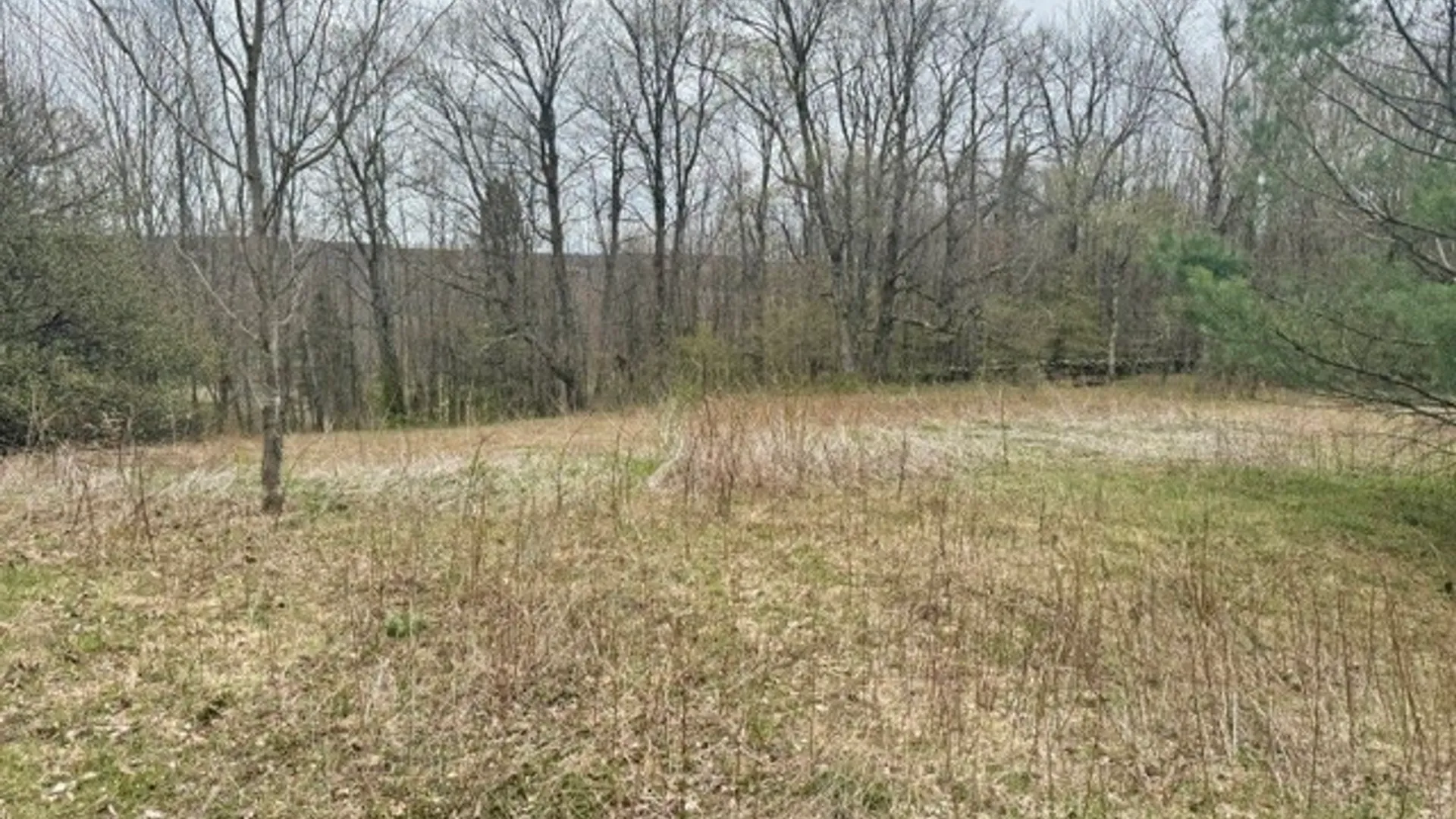 Property at Lot 4 Shaver Hill Road, Meredith, NY 13806 41