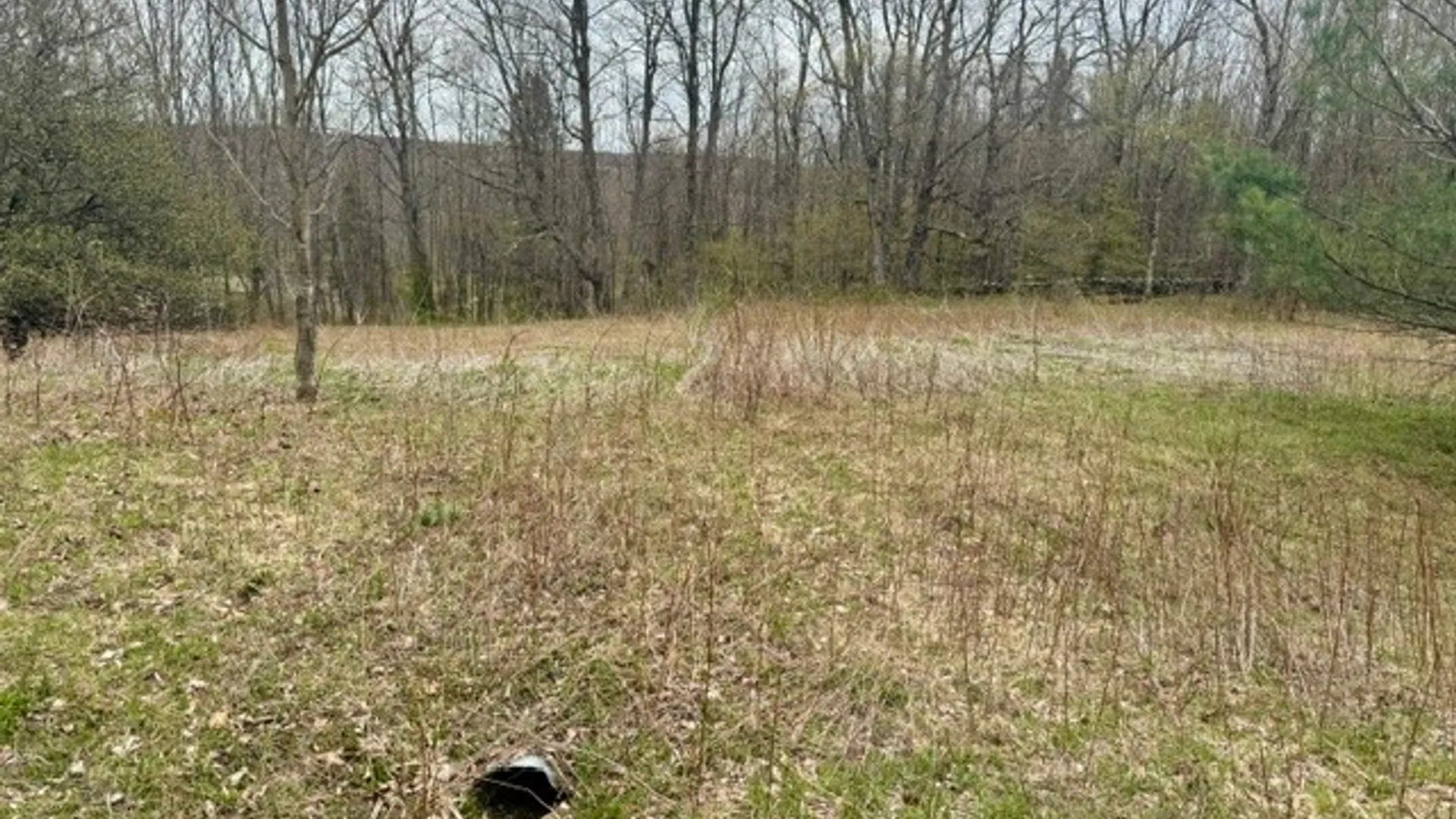 Property at Lot 4 Shaver Hill Road, Meredith, NY 13806 42