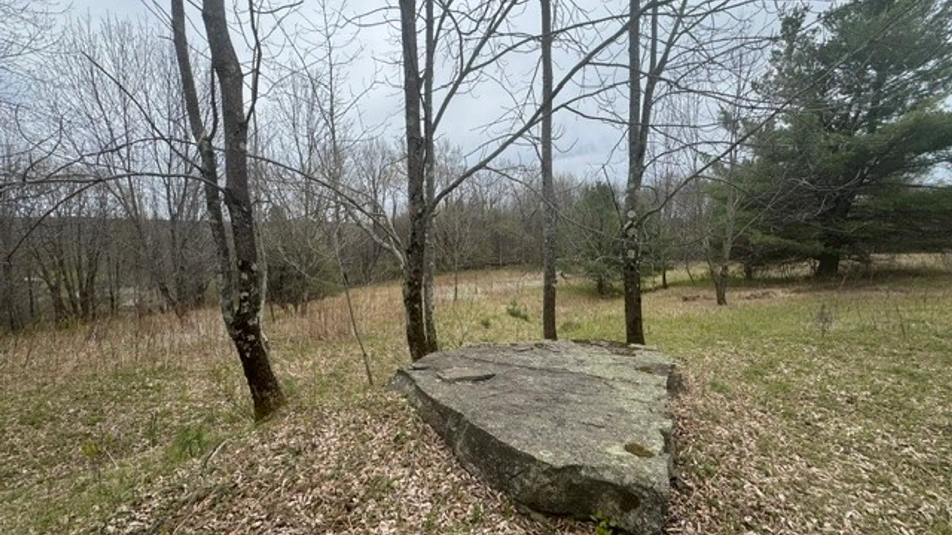 Property at Lot 4 Shaver Hill Road, Meredith, NY 13806 43