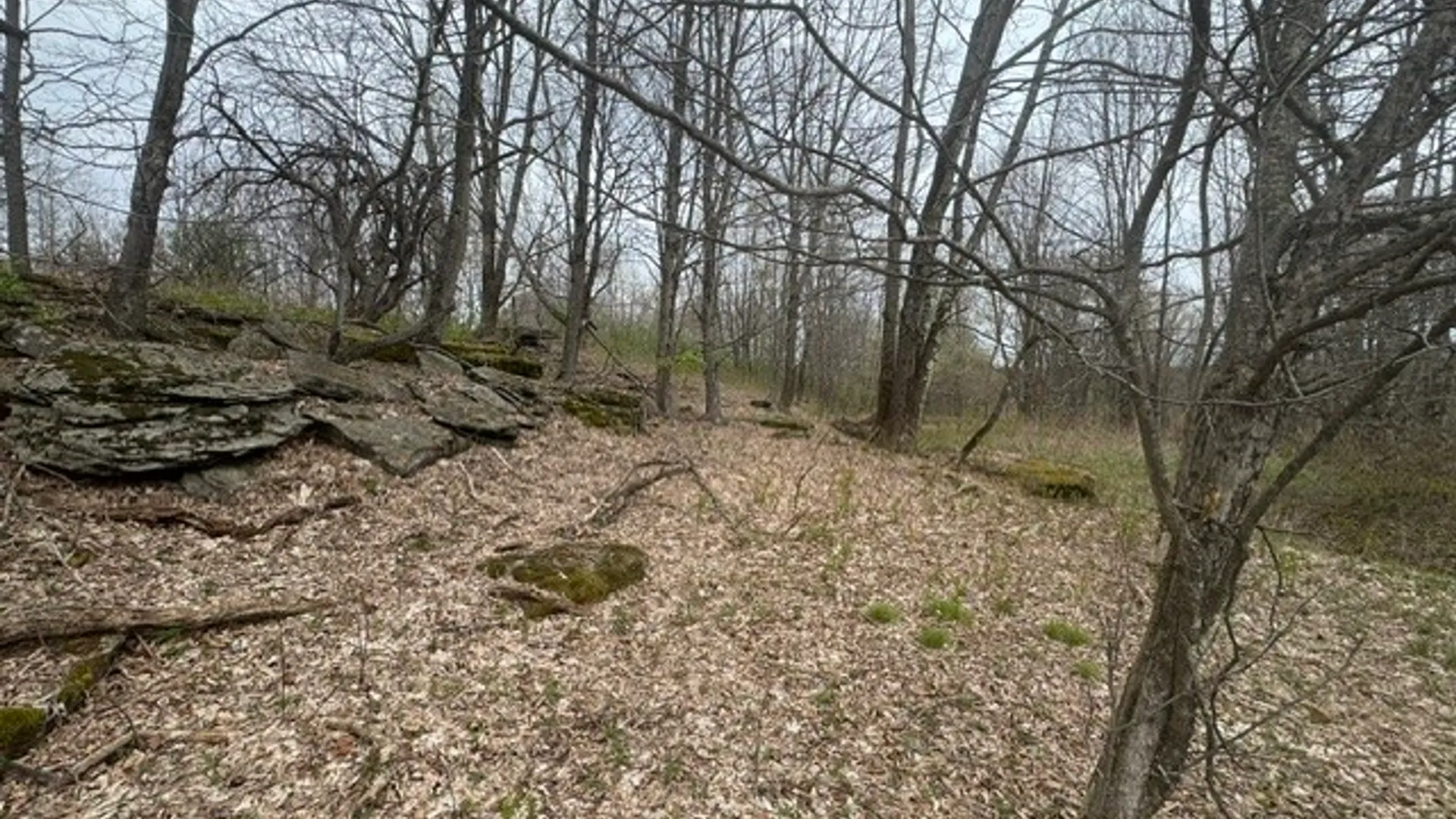 Property at Lot 4 Shaver Hill Road, Meredith, NY 13806 44