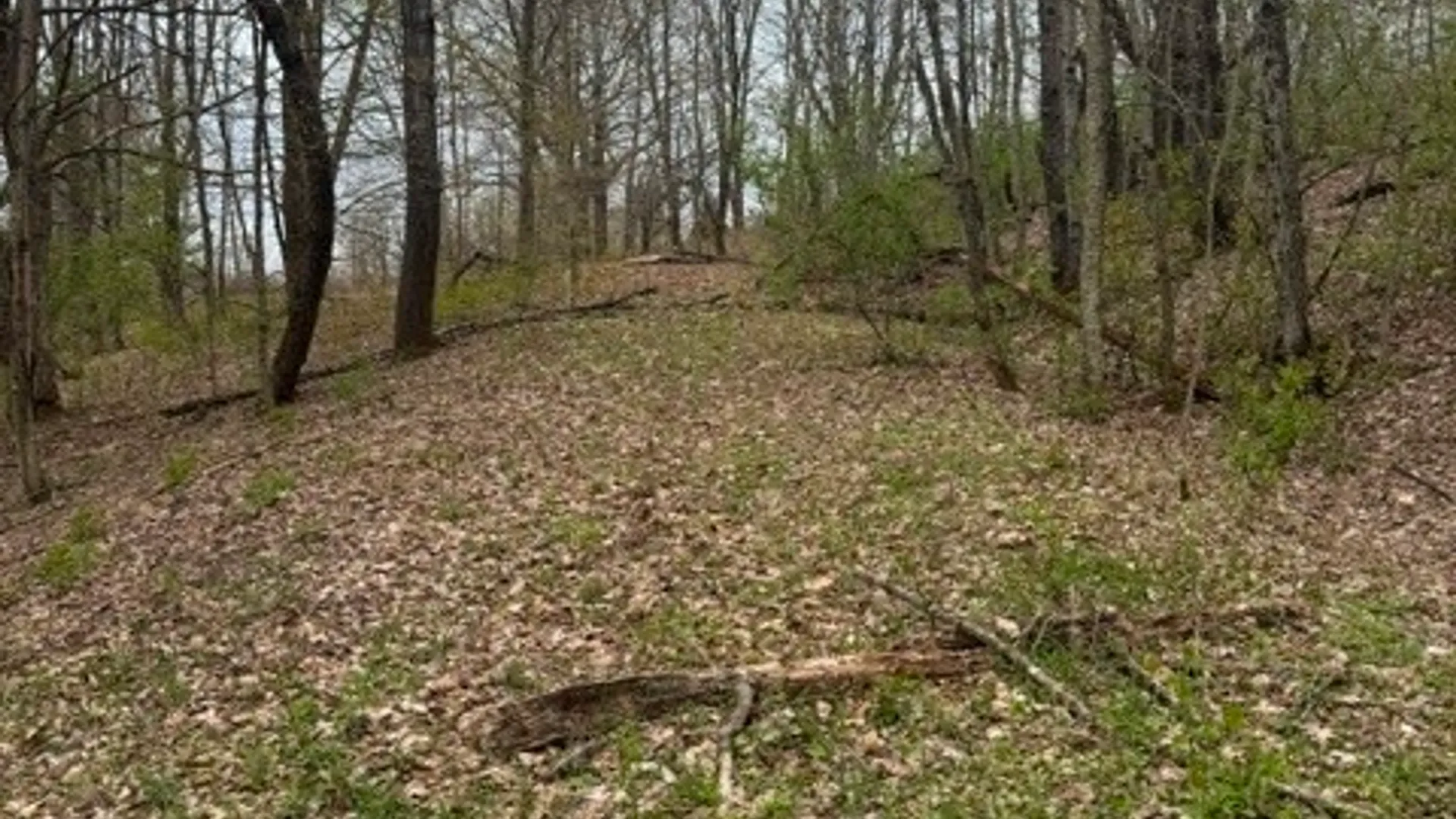 Property at Lot 4 Shaver Hill Road, Meredith, NY 13806 5