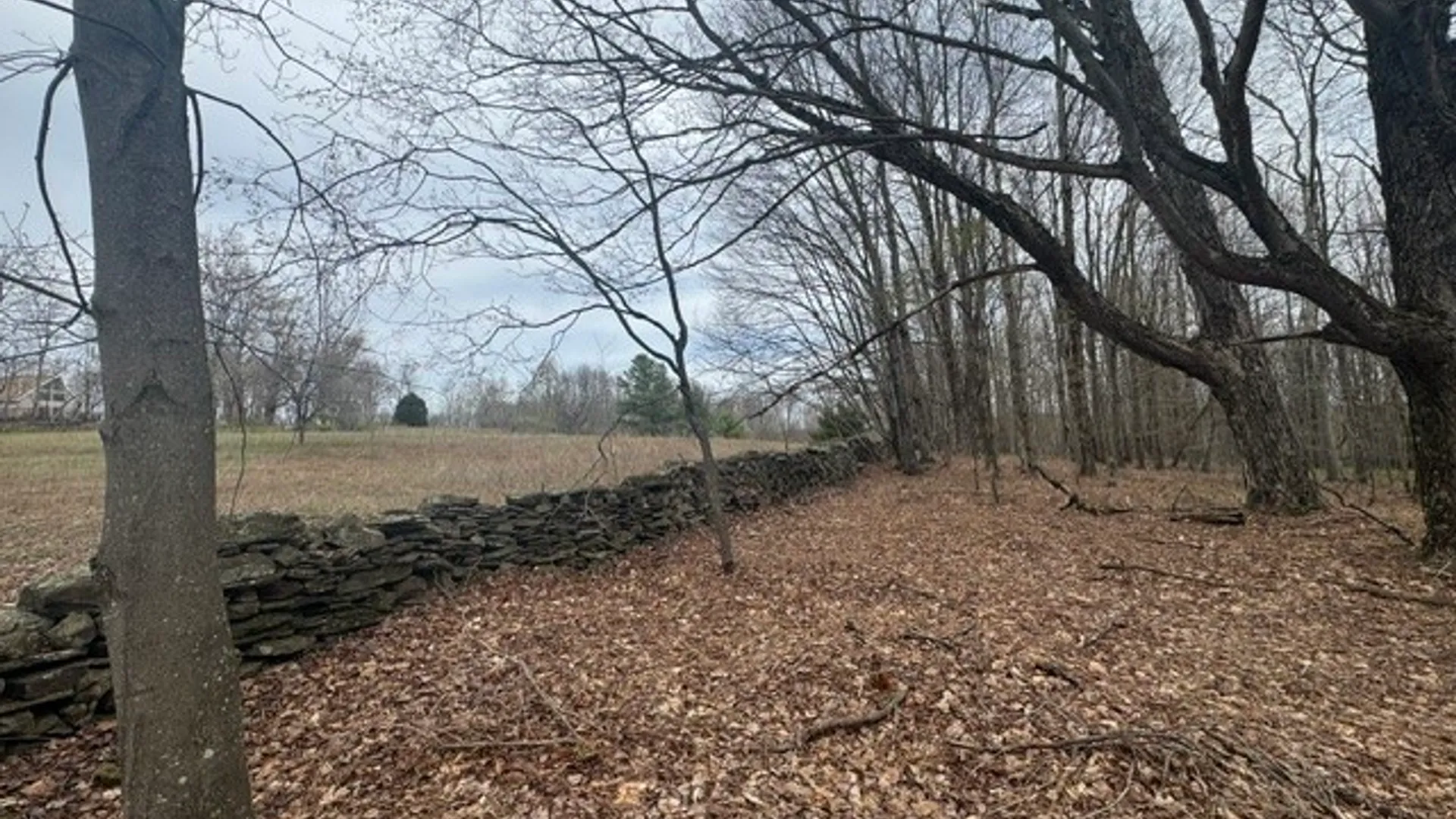 Property at Lot 4 Shaver Hill Road, Meredith, NY 13806 6