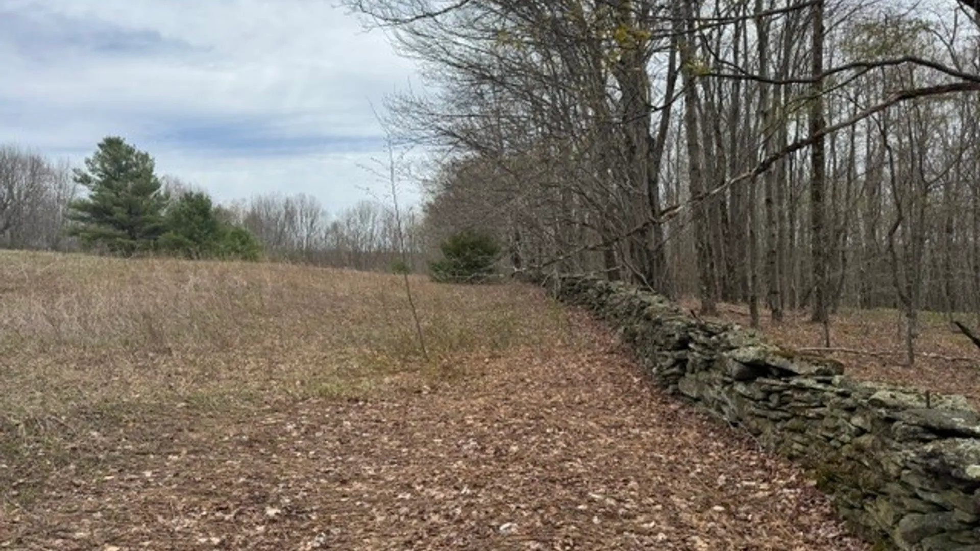 Property at Lot 4 Shaver Hill Road, Meredith, NY 13806 7
