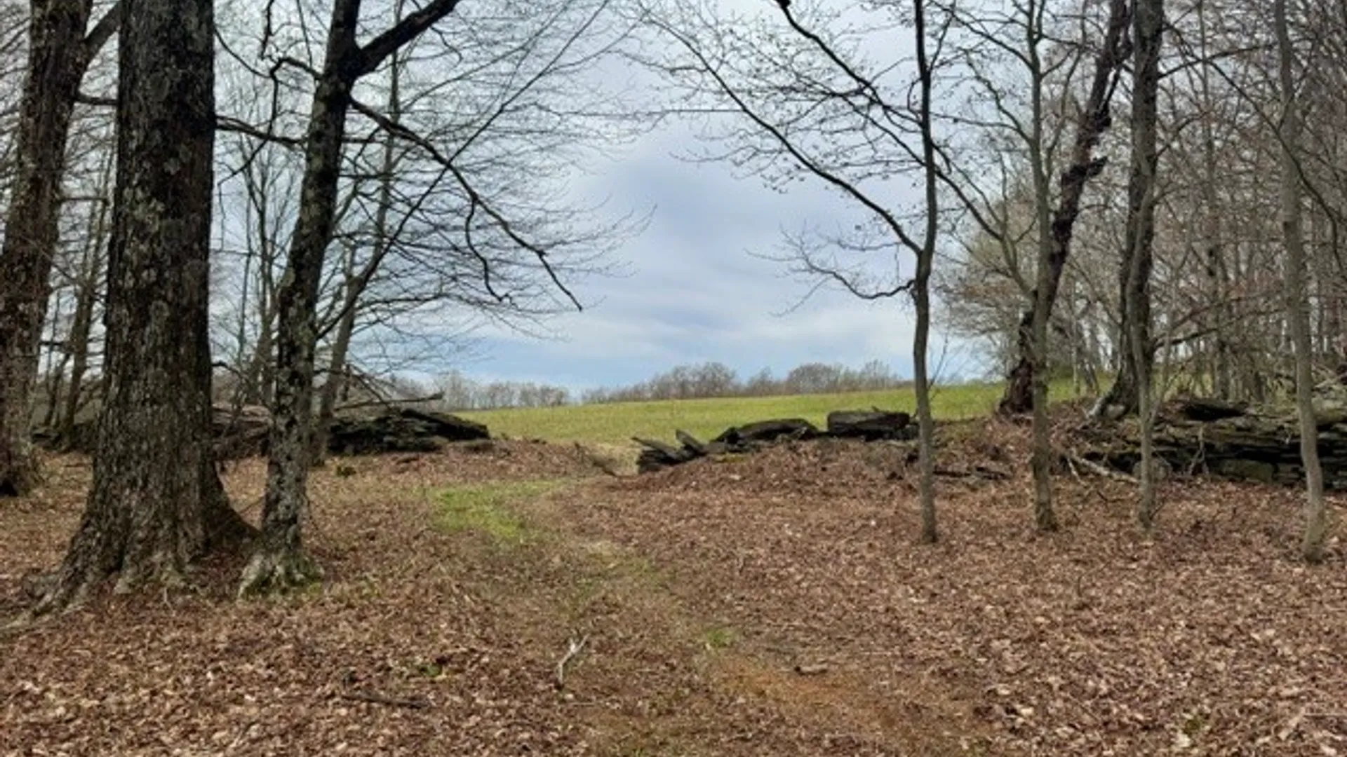 Property at Lot 4 Shaver Hill Road, Meredith, NY 13806 8