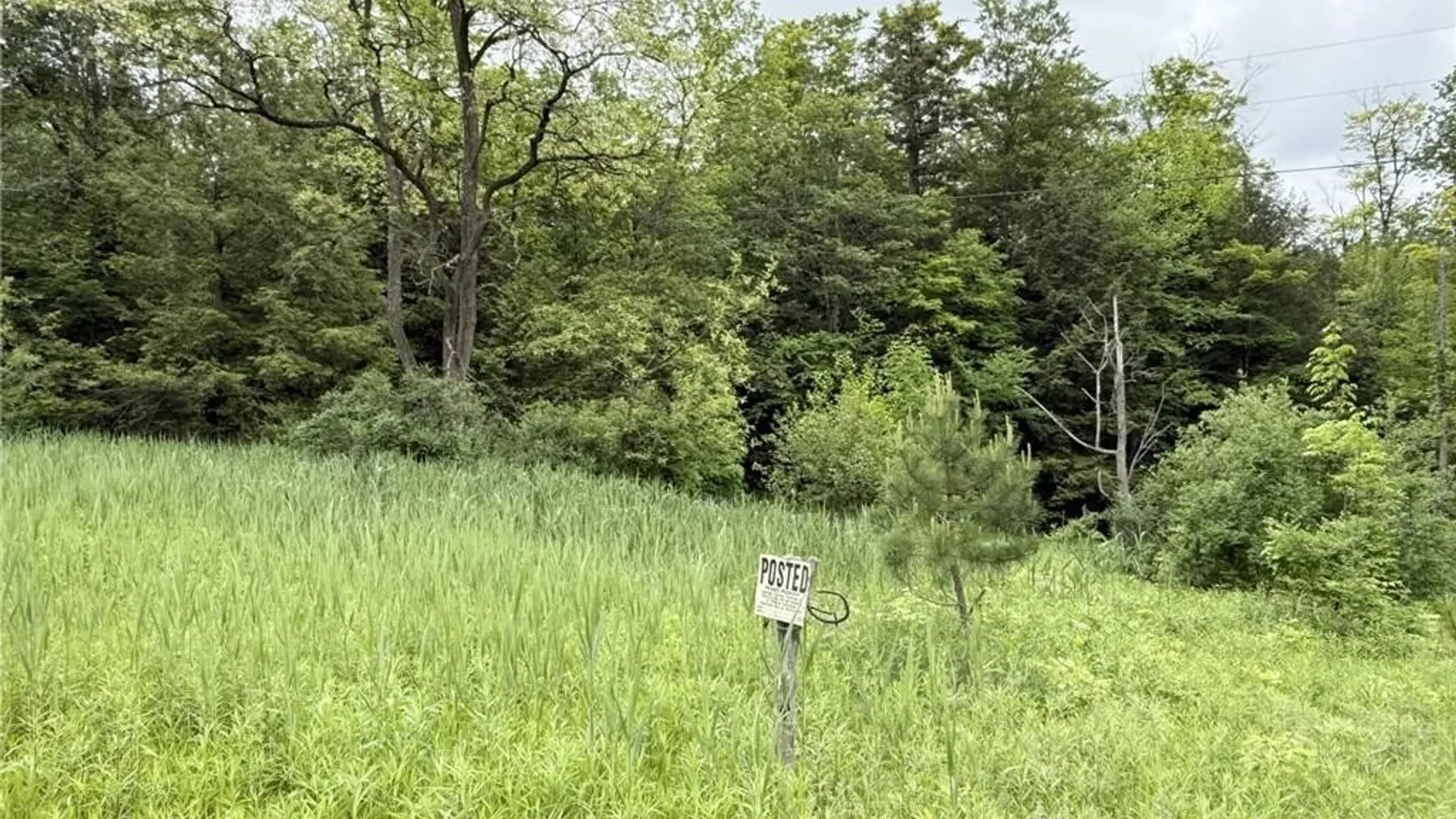 Property at 0 Luce Road, Ellery, NY 14712 15