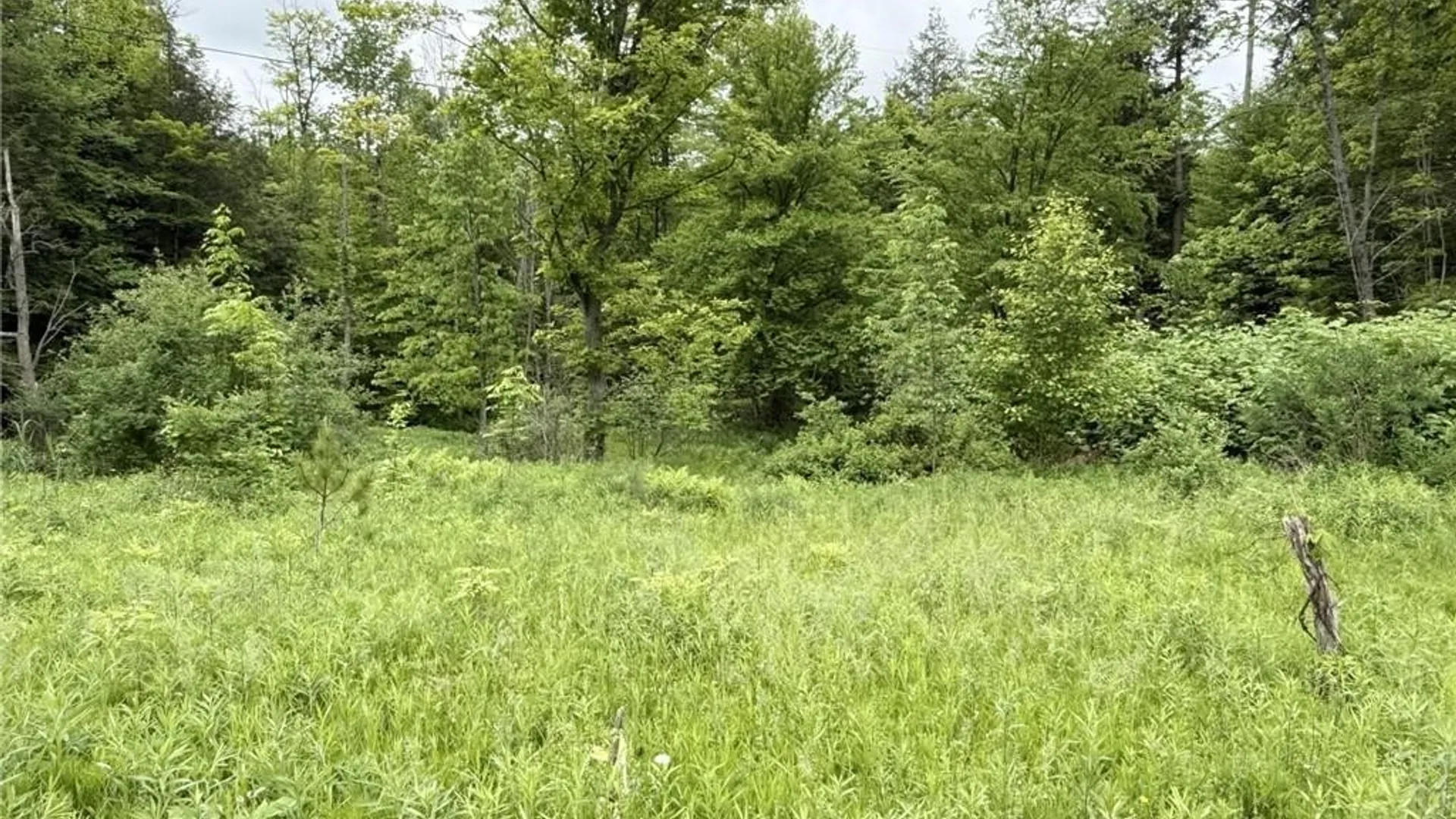 Property at 0 Luce Road, Ellery, NY 14712 16