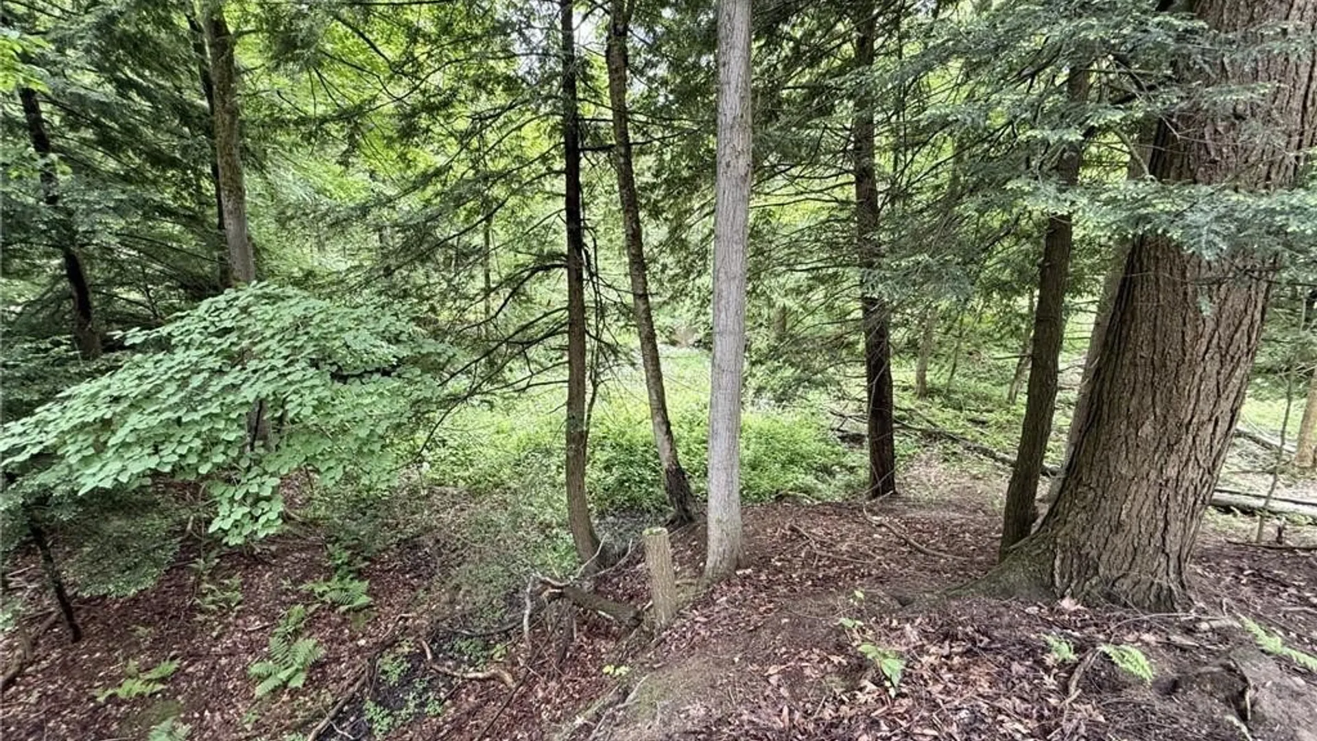 Property at 0 Luce Road, Ellery, NY 14712 20