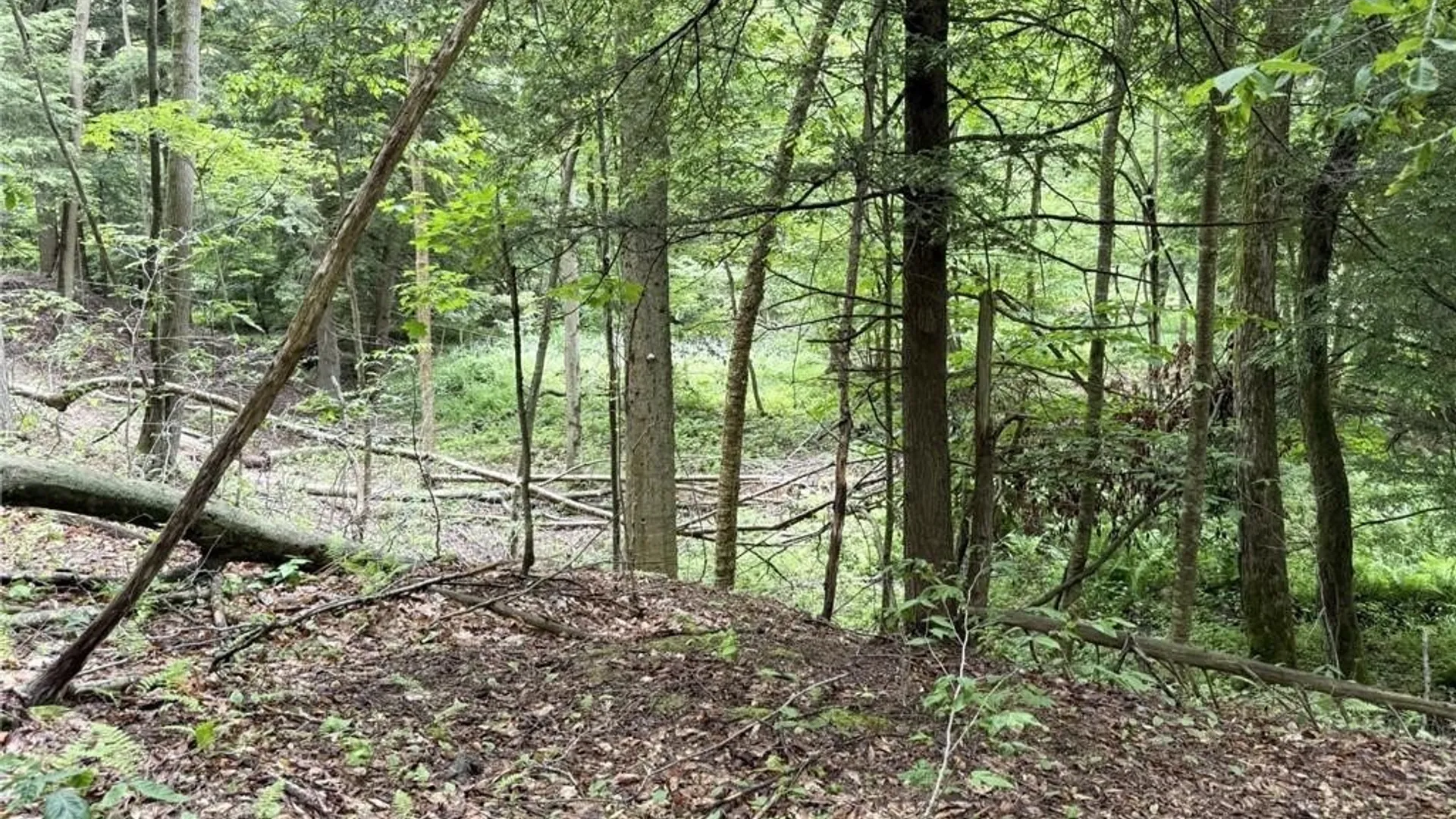 Property at 0 Luce Road, Ellery, NY 14712 22
