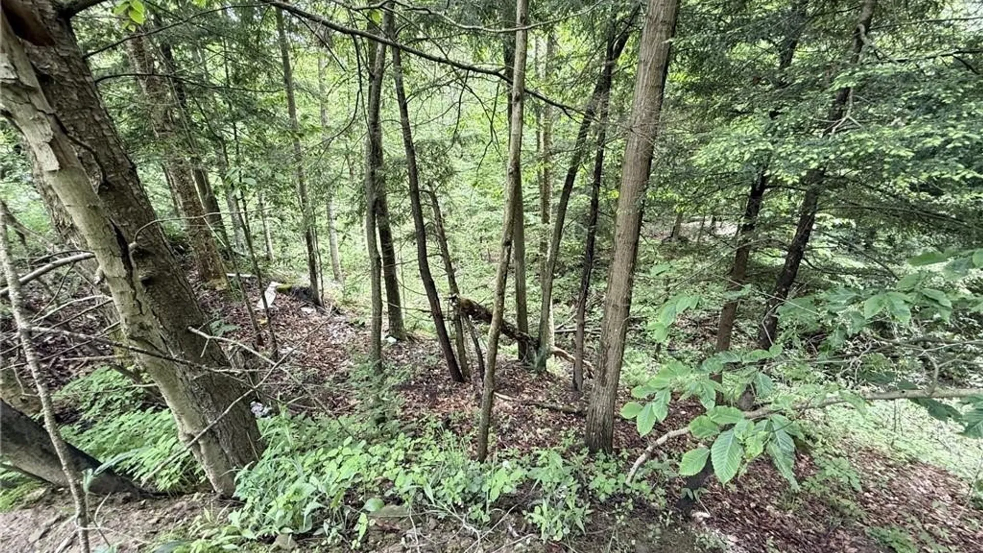 Property at 0 Luce Road, Ellery, NY 14712 23